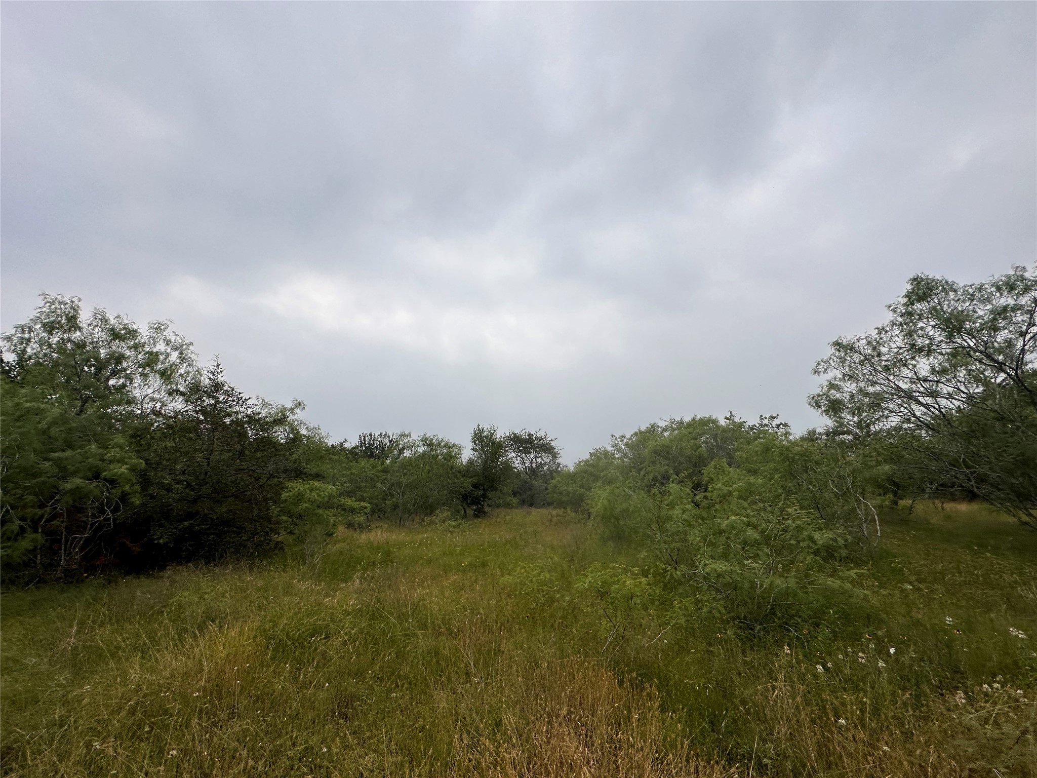 LOT 2 Private Road 4601, Waelder, TX, 78959 | 1371869 | Realty Texas LLC