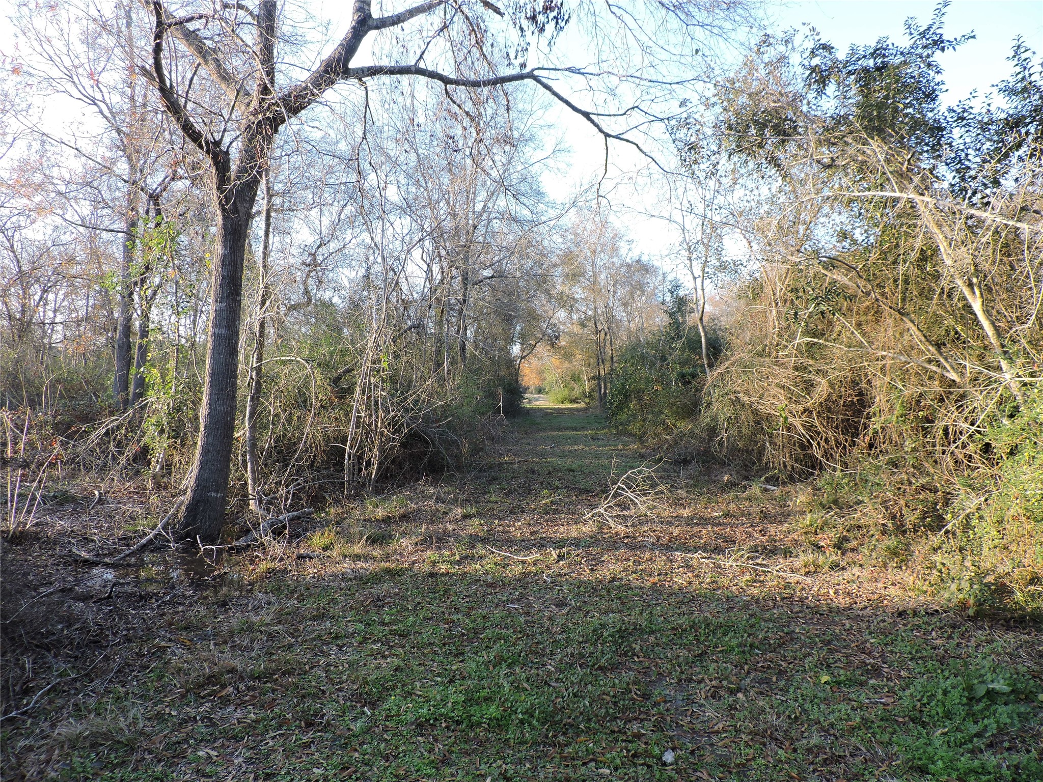 00 S Donaldson, La Porte, TX, 77571 | 98851124 | Realty Texas LLC