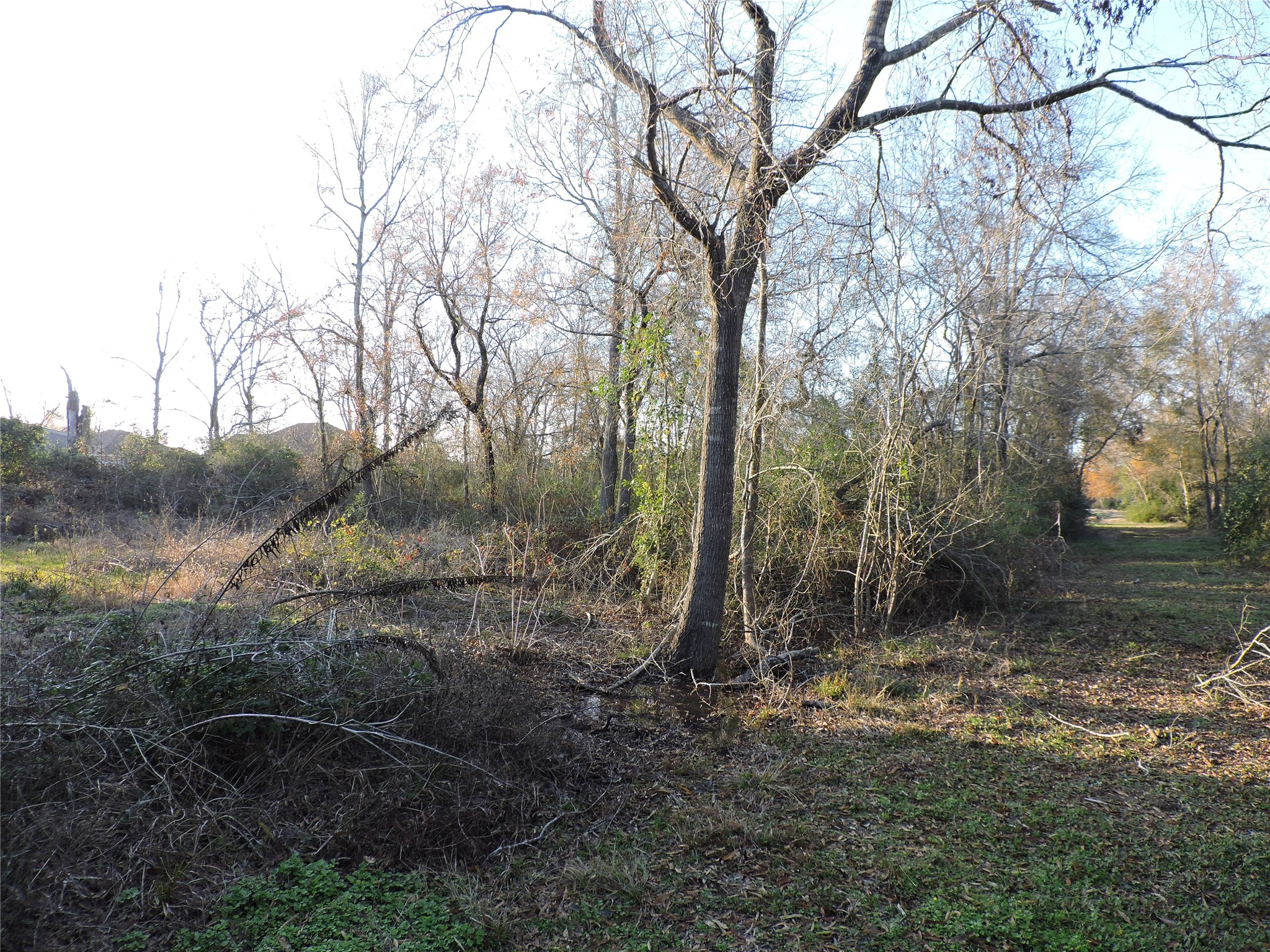 00 S Donaldson, La Porte, TX, 77571 | 98851124 | Realty Texas LLC