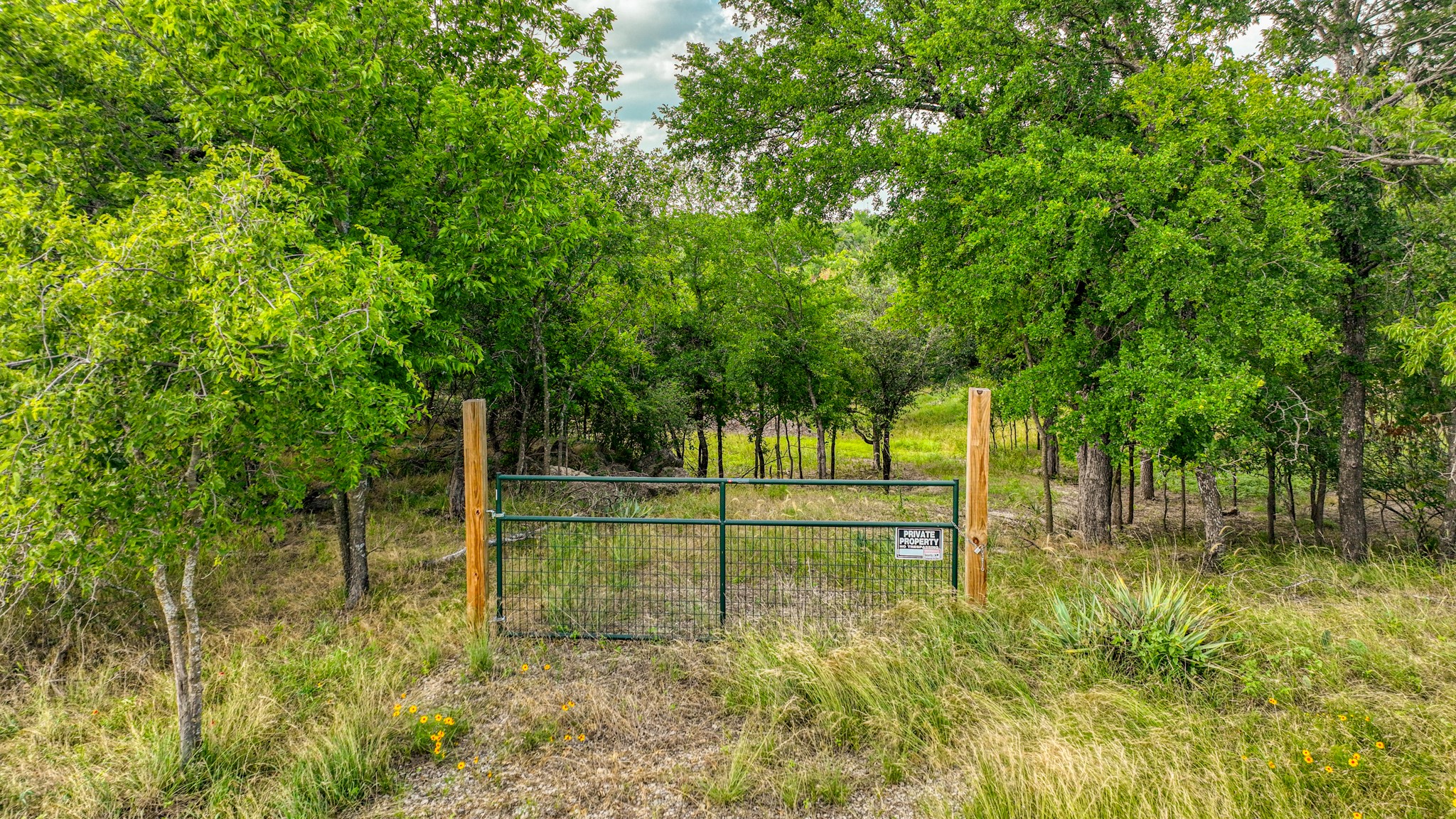 319 Fairway Drive, Willow Park, TX, 76087 | 20957666 | Realty Texas LLC