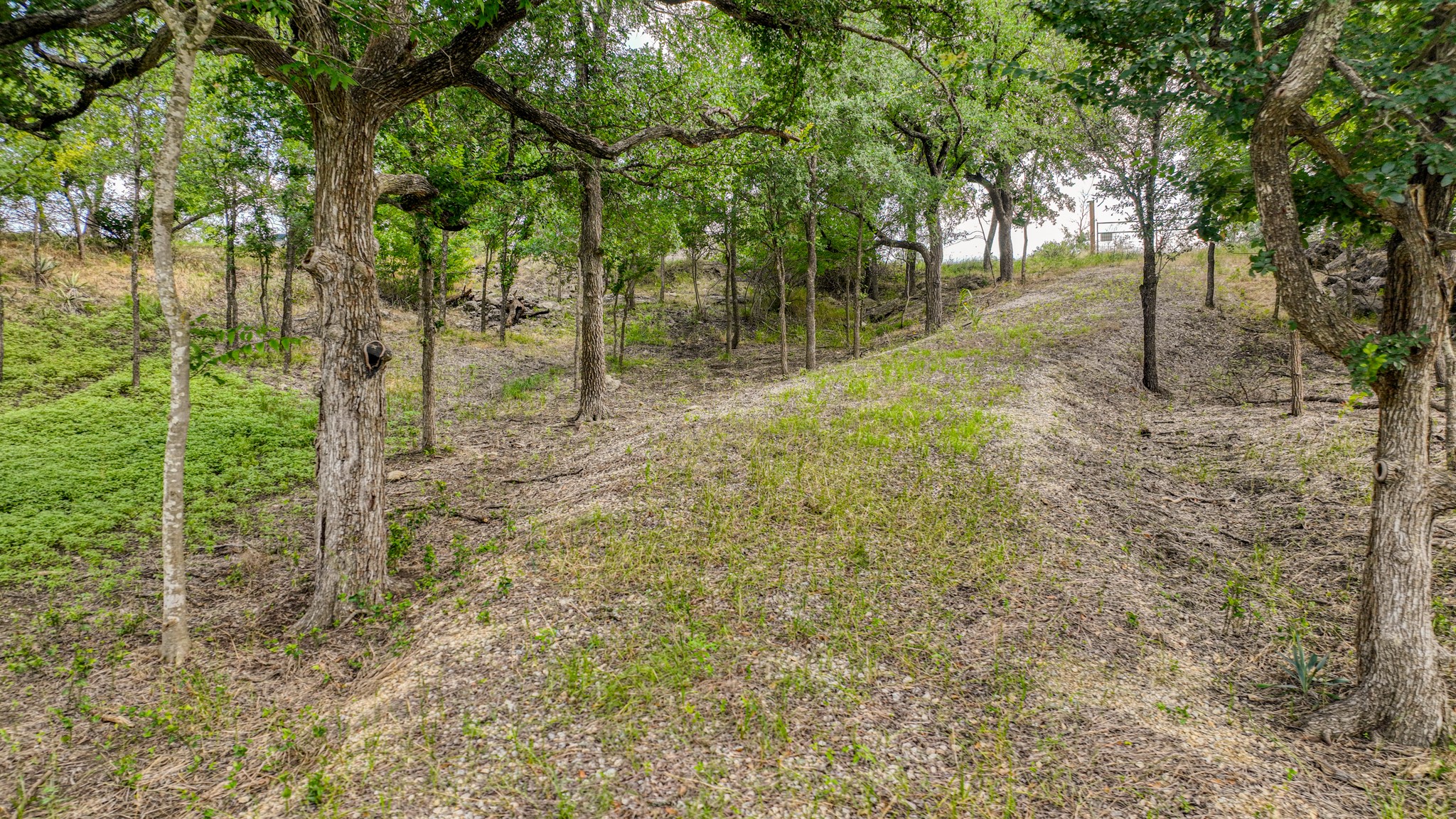 319 Fairway Drive, Willow Park, TX, 76087 | 20957666 | Realty Texas LLC
