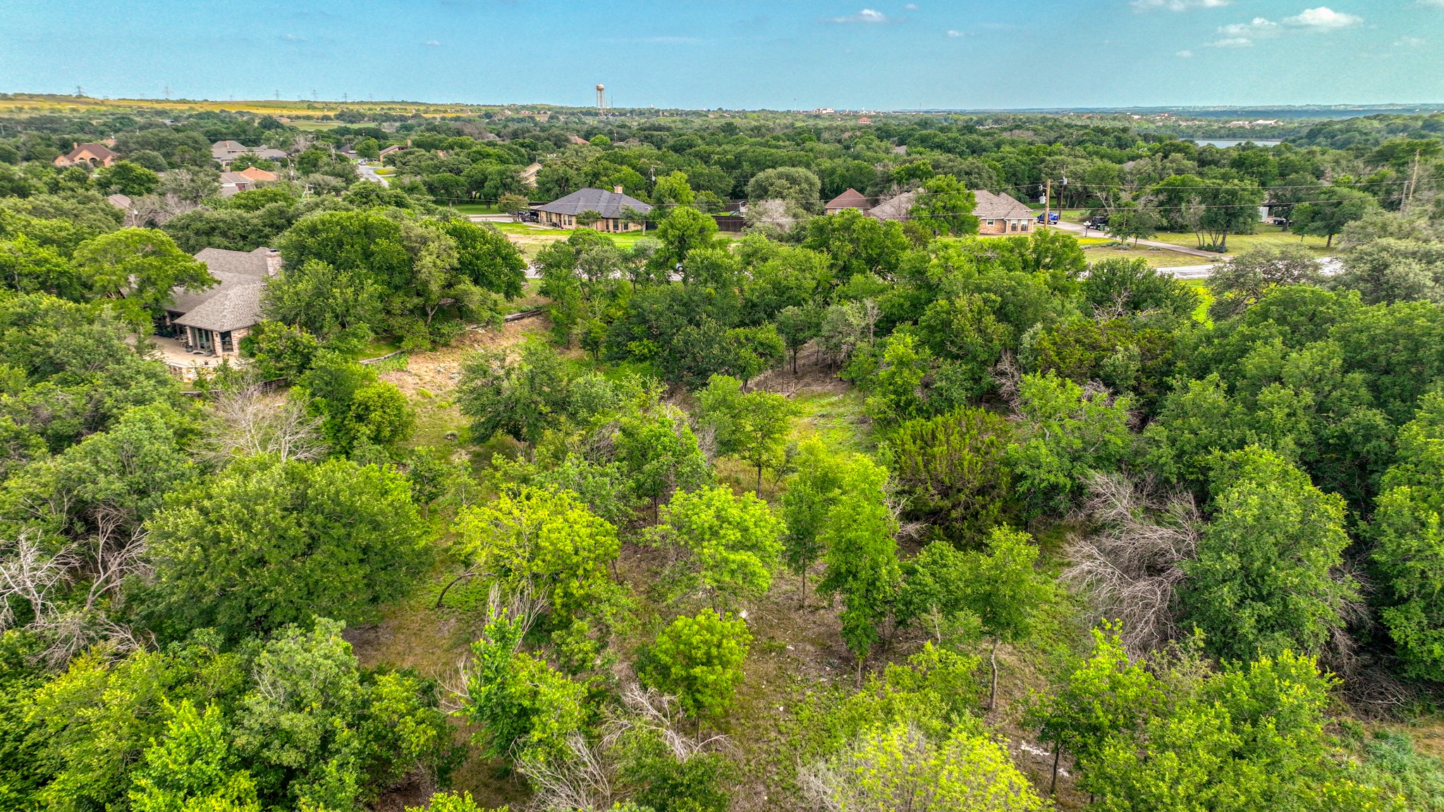 319 Fairway Drive, Willow Park, TX, 76087 | 20957666 | Realty Texas LLC