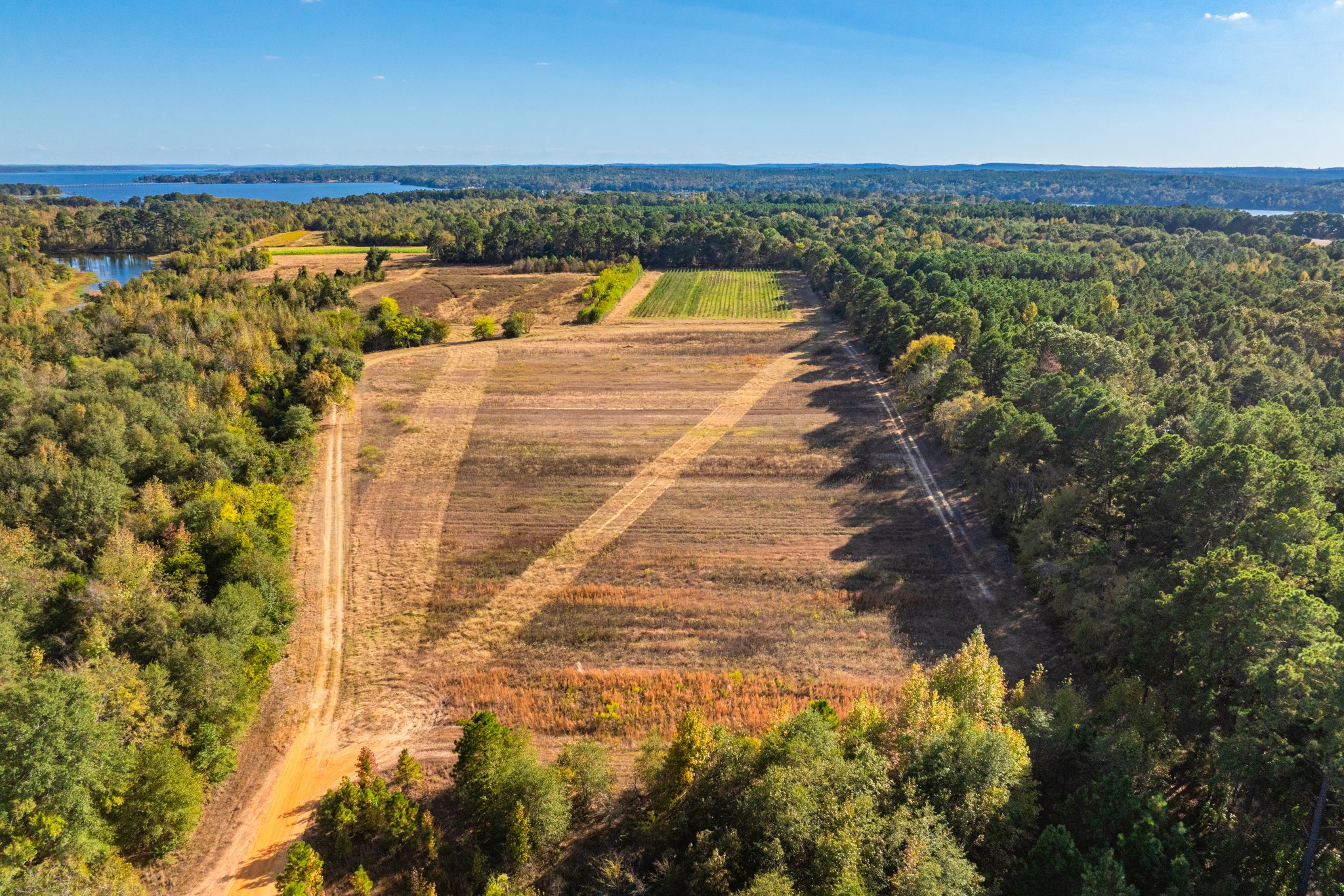 00 County Road 3411, Chandler, TX, 75758 | 3781360 | Realty Texas LLC