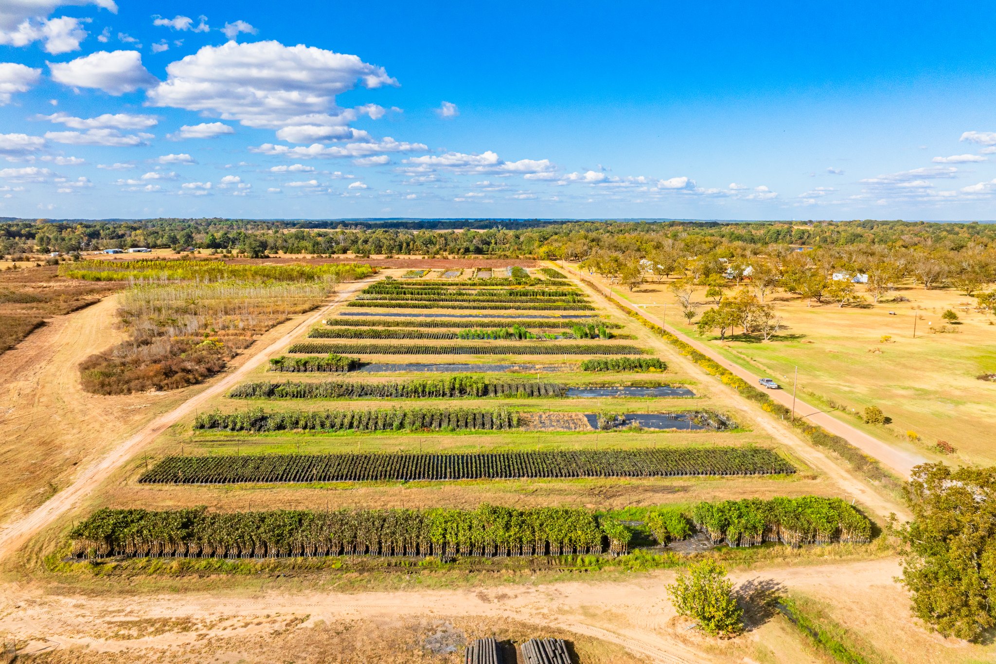 00 County Road 3411, Chandler, TX, 75758 | 3781360 | Realty Texas LLC