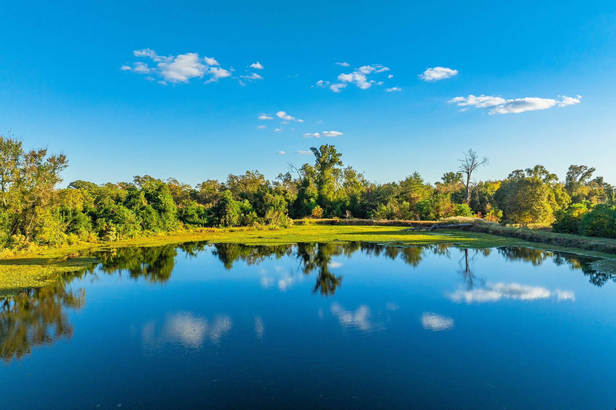 00 County Road 3411, Chandler, TX, 75758 | 3781360 | Realty Texas LLC