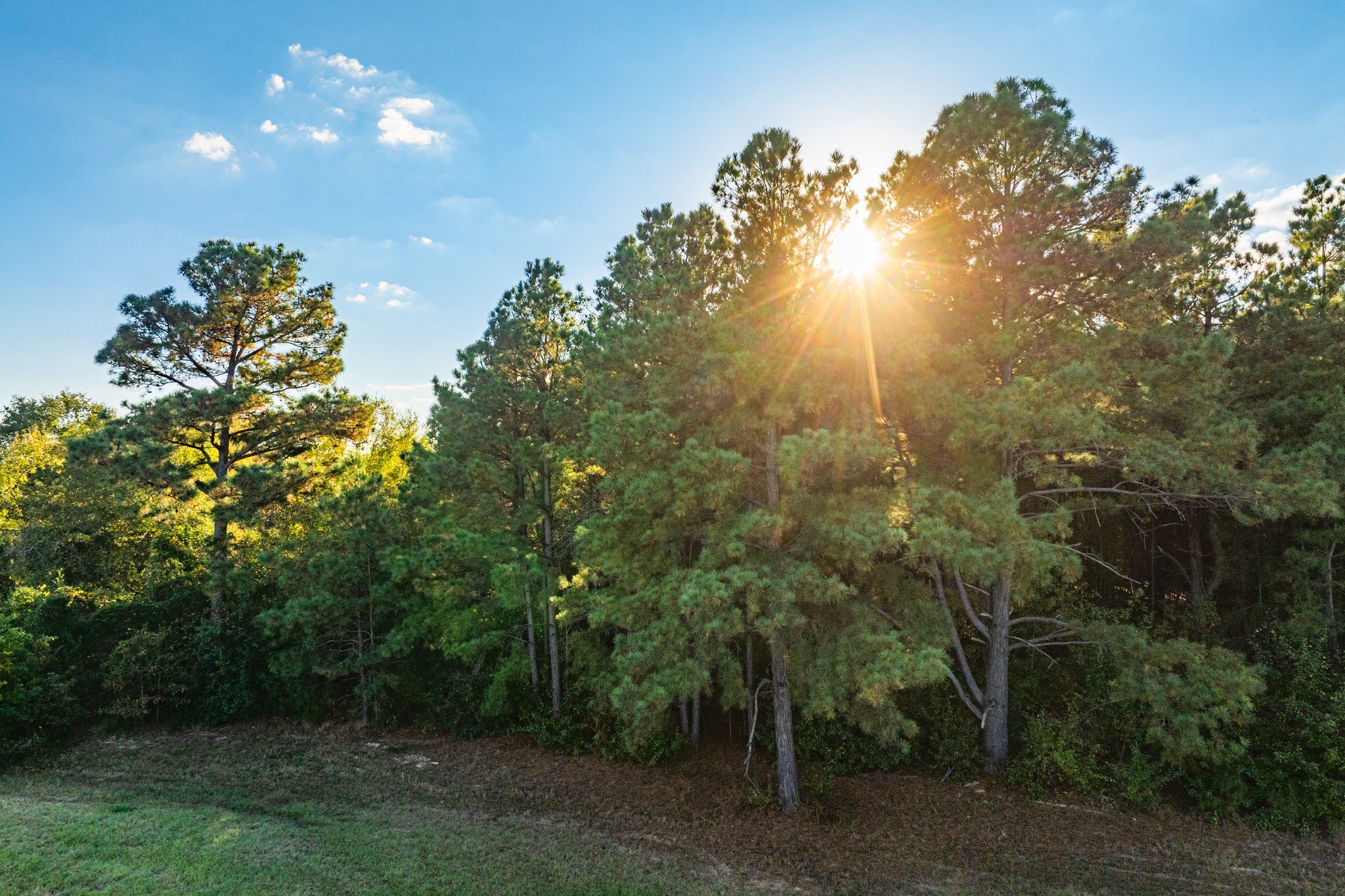 00 County Road 3411, Chandler, TX, 75758 | 3781360 | Realty Texas LLC