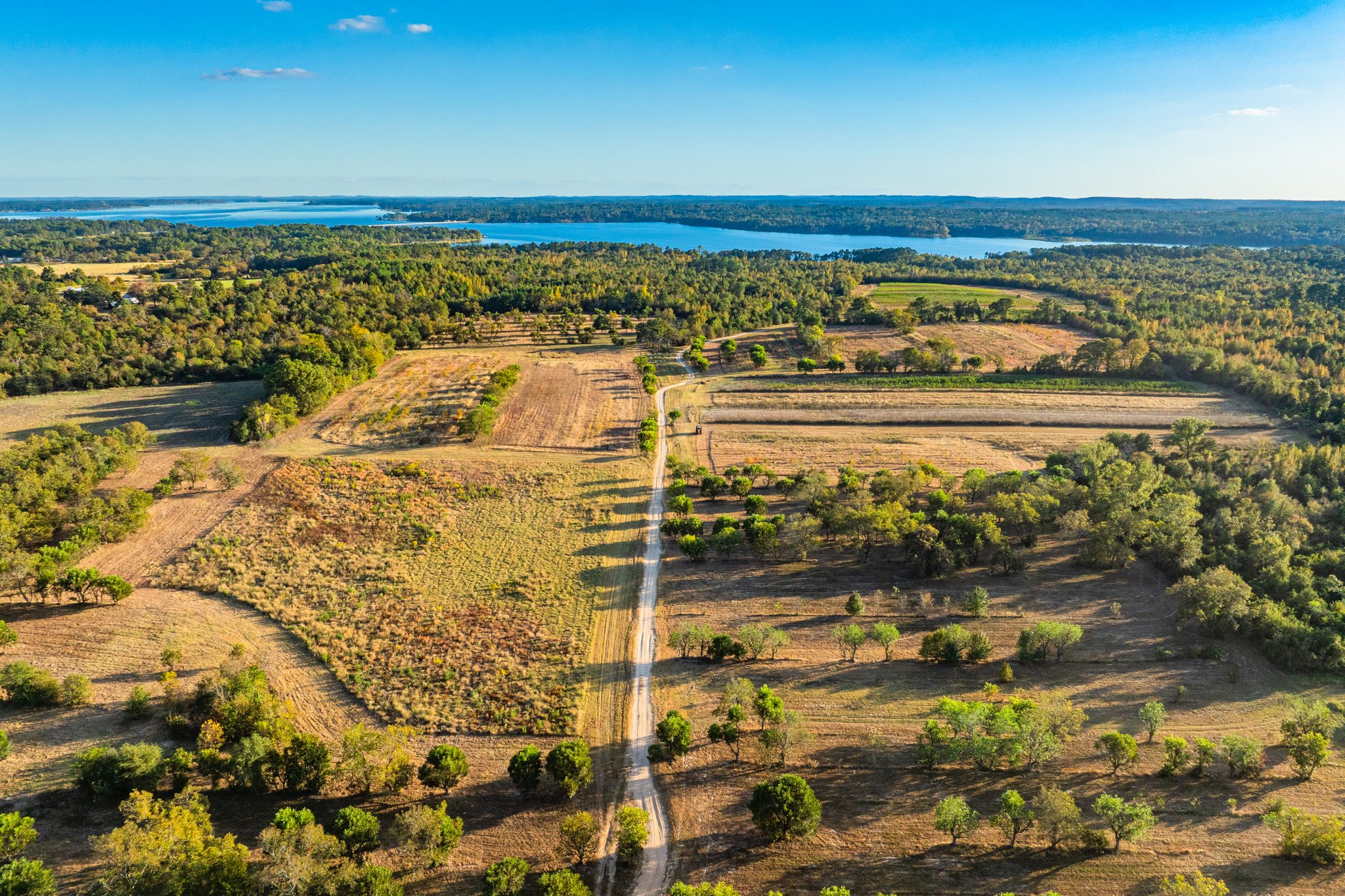 00 County Road 3411, Chandler, TX, 75758 | 3781360 | Realty Texas LLC