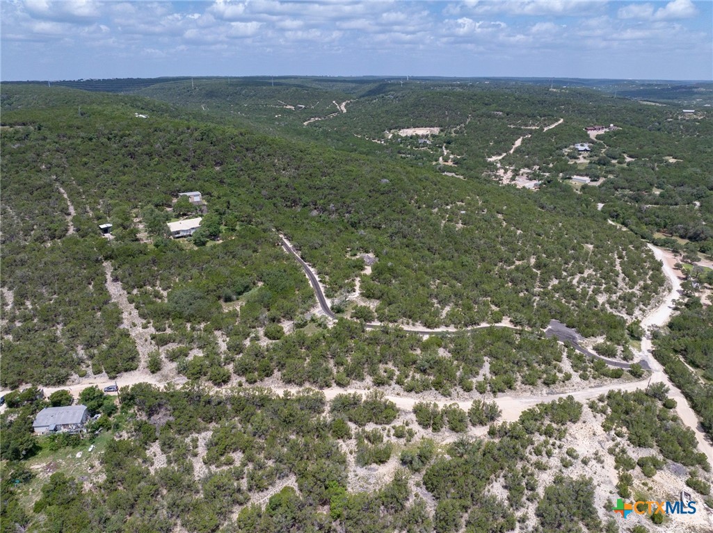 10306 Vance Circle Road, Jonestown, TX, 78645 | 582721 | Realty Texas LLC
