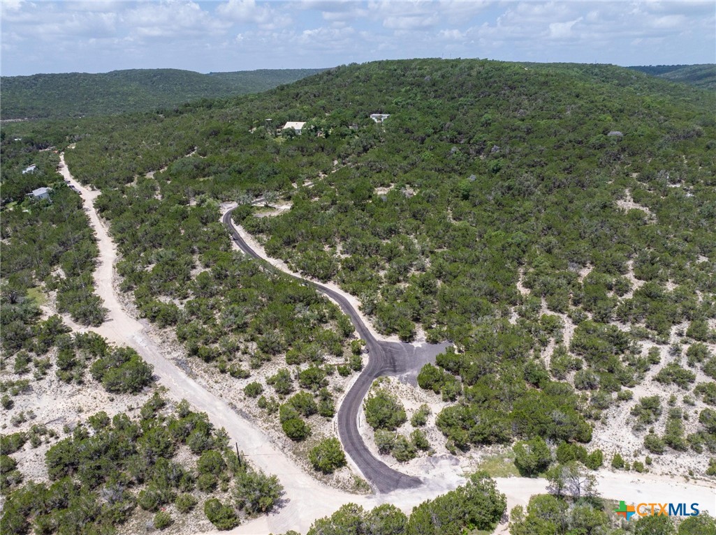 10306 Vance Circle Road, Jonestown, TX, 78645 | 582721 | Realty Texas LLC
