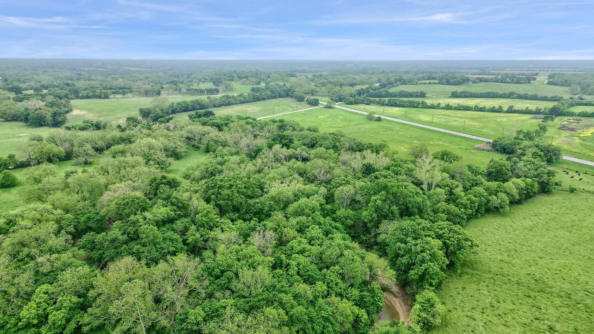 131 Dugan Chapel Rd Road, Bells, TX, 75414 | 20962143 | Realty Texas LLC