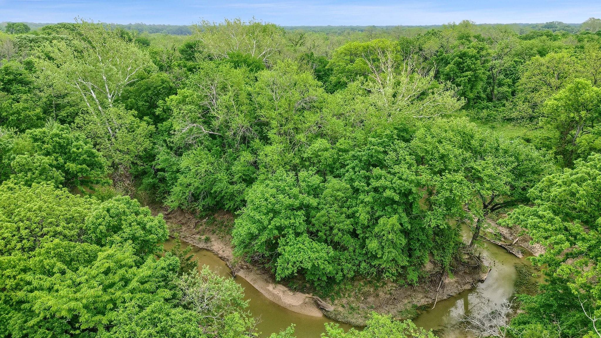 131 Dugan Chapel Rd Road, Bells, TX, 75414 | 20962143 | Realty Texas LLC
