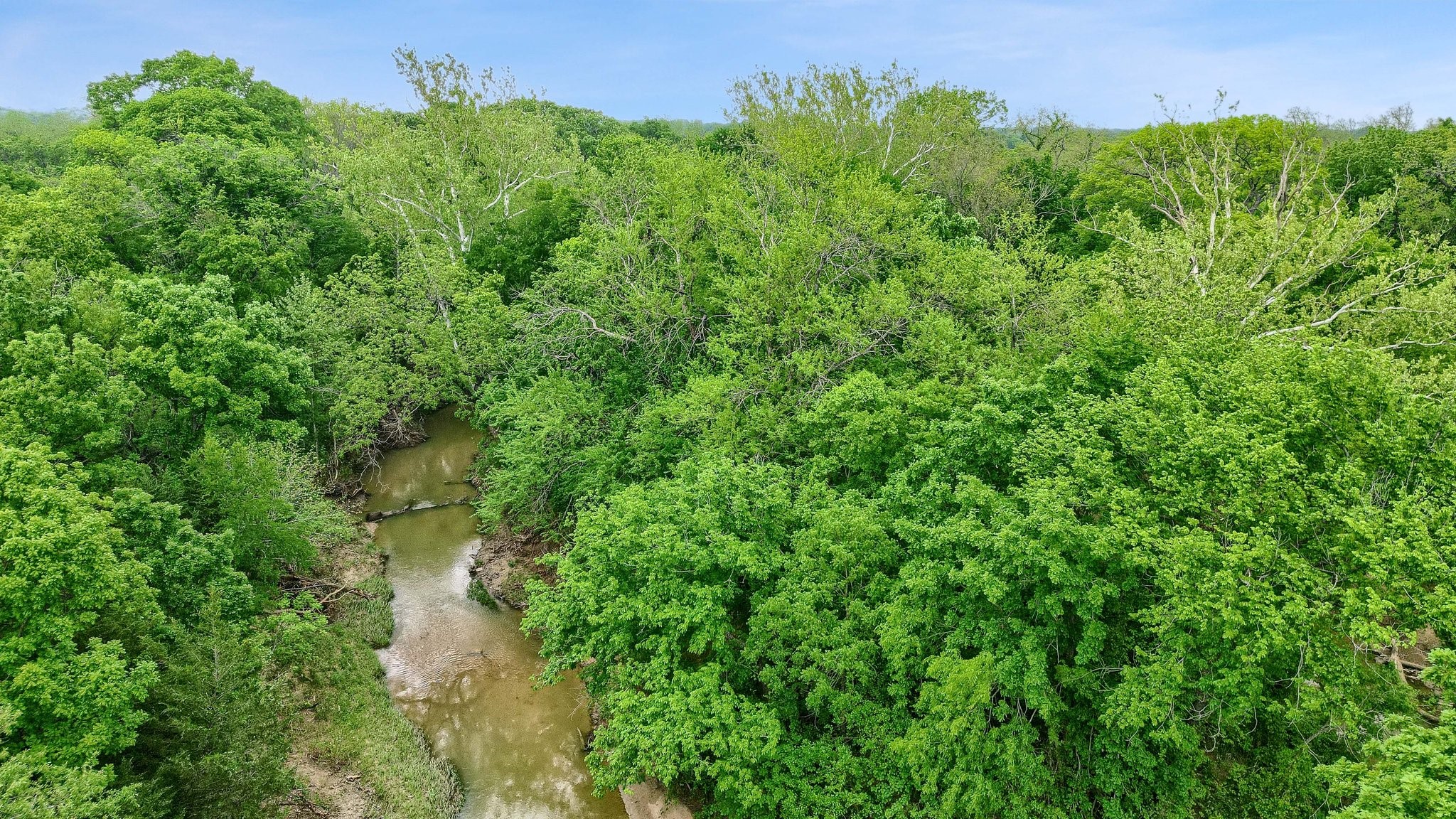 131 Dugan Chapel Rd Road, Bells, TX, 75414 | 20962143 | Realty Texas LLC