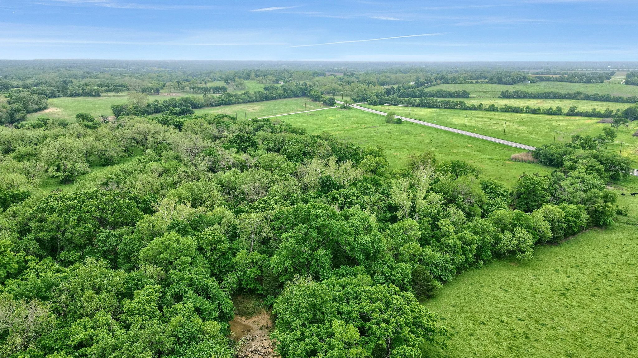 131 Dugan Chapel Rd Road, Bells, TX, 75414 | 20962143 | Realty Texas LLC