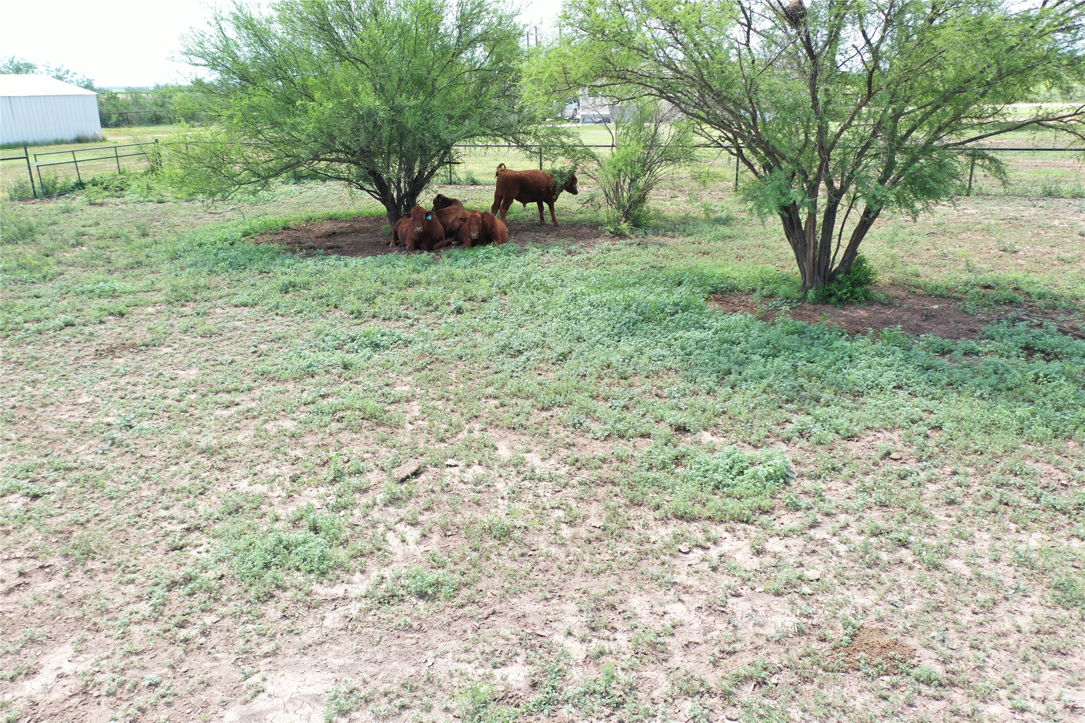 2259 County Road 325, Sabinal, TX, 78881 | 27525820 | Realty Texas LLC