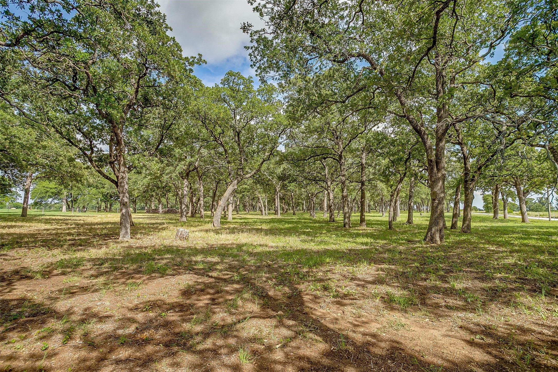 3019 Orchard Road, Bowie, TX, 76230 | 20963936 | Realty Texas LLC