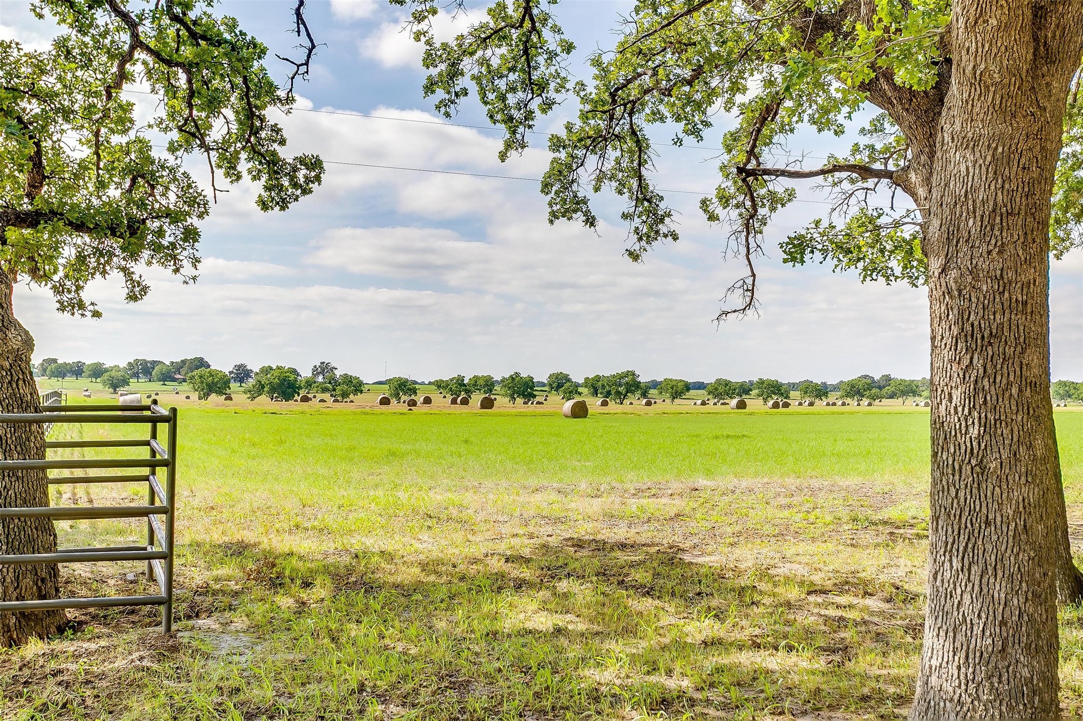 3019 Orchard Road, Bowie, TX, 76230 | 20963936 | Realty Texas LLC
