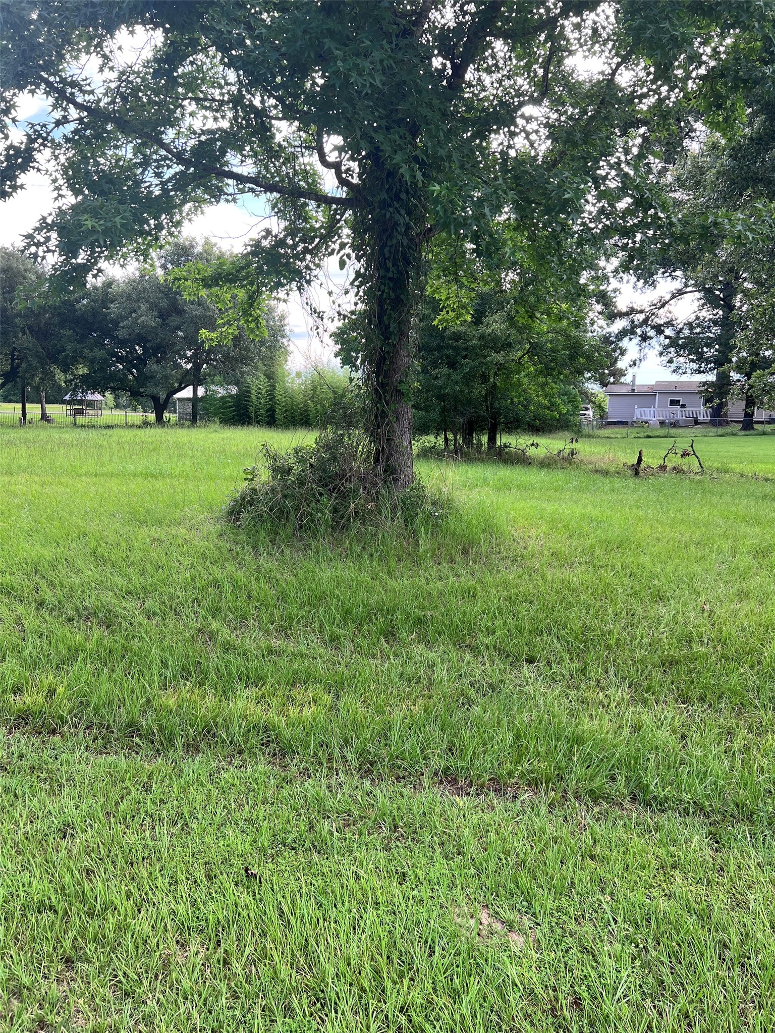TBD Monticello Street, Trinity, TX, 75862 | 39709190 | Realty Texas LLC