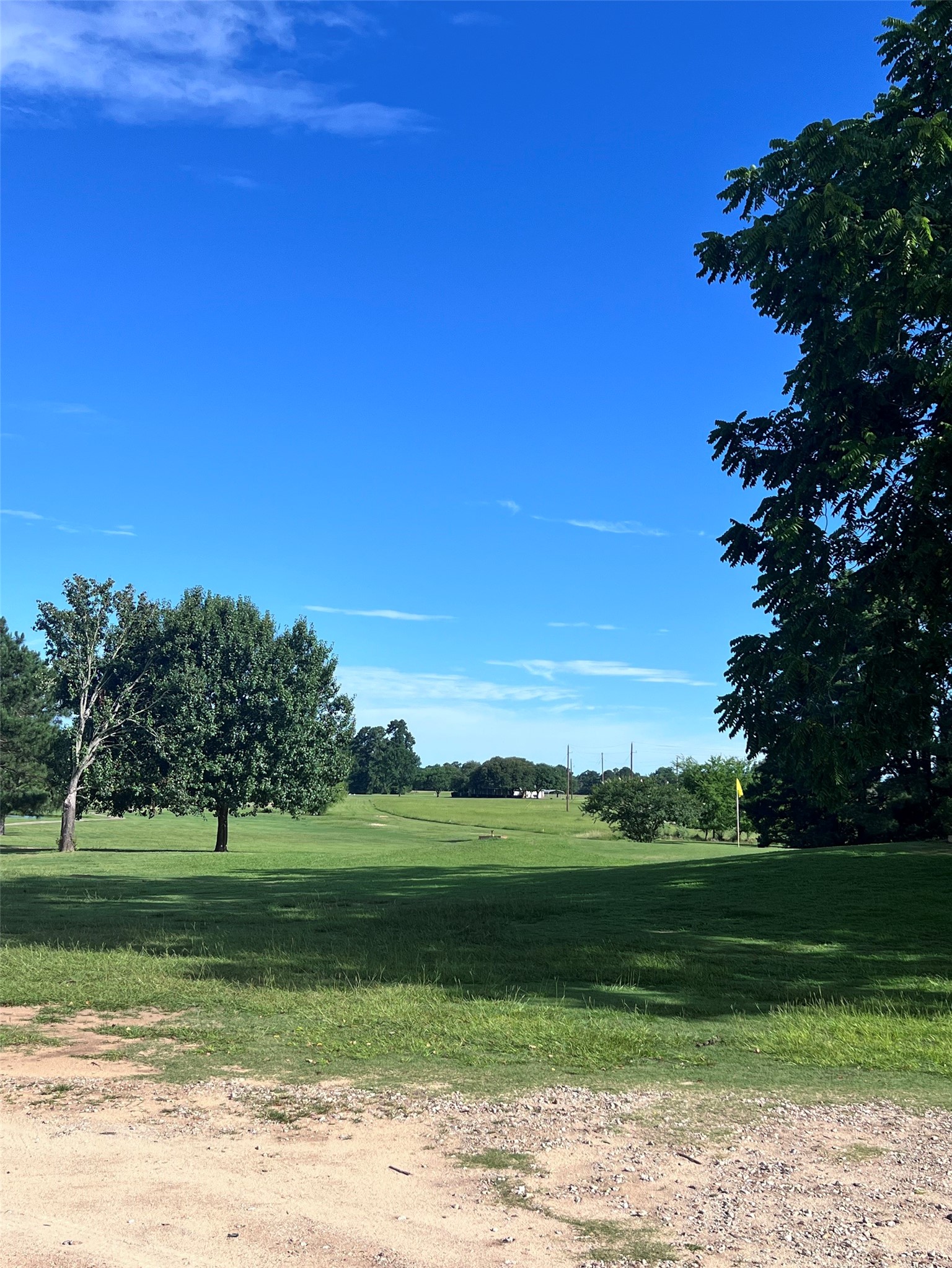 TBD Monticello Street, Trinity, TX, 75862 | 39709190 | Realty Texas LLC