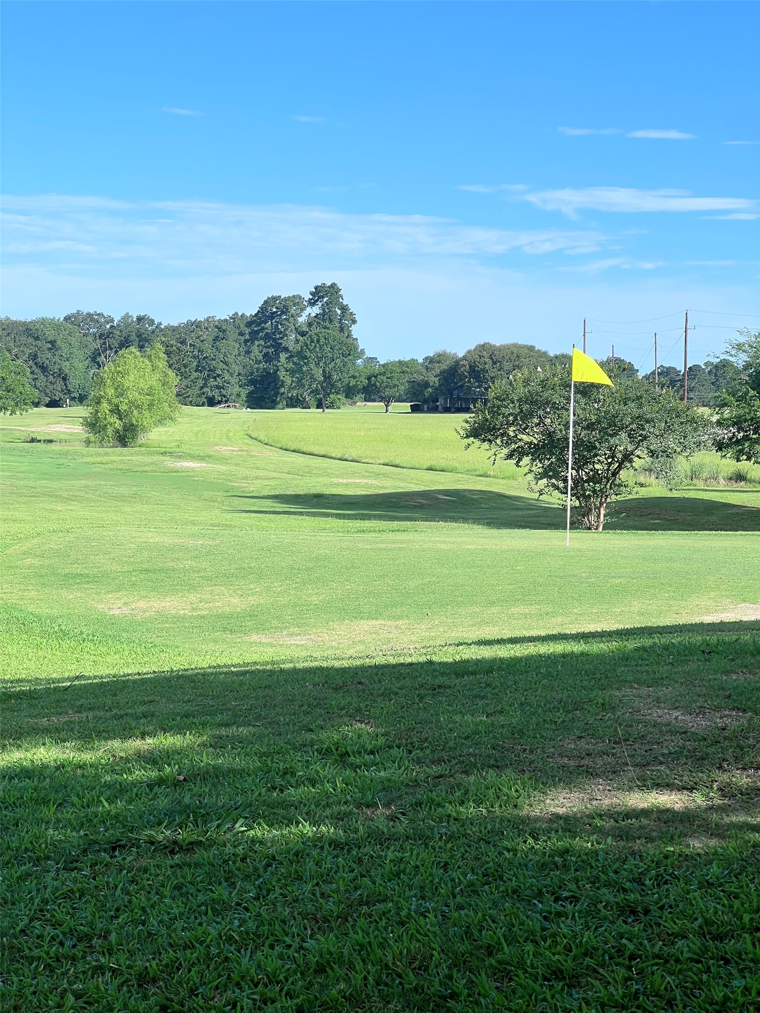 TBD Monticello Street, Trinity, TX, 75862 | 39709190 | Realty Texas LLC