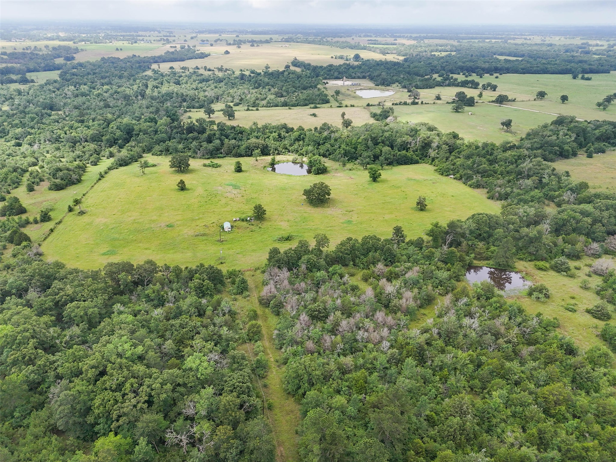 8530 Burns Road, Midway, TX, 75852 | 43132129 | Realty Texas LLC