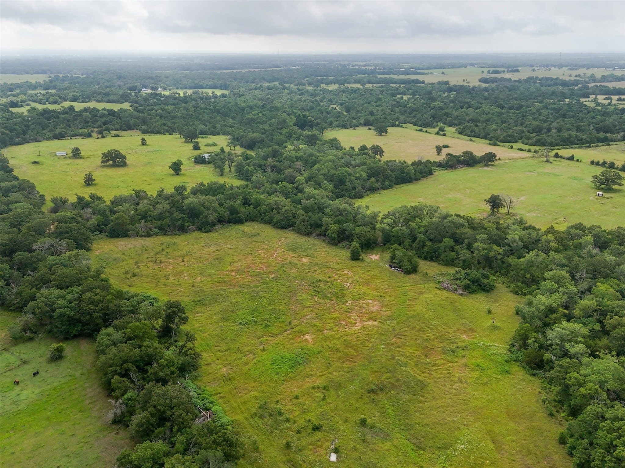 8530 Burns Road, Midway, TX, 75852 | 43132129 | Realty Texas LLC