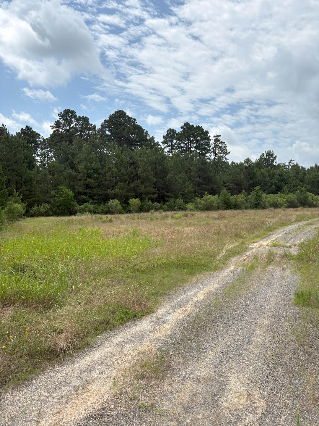 TBD County Road 425, Tenaha, TX, 75974 | 20964830 | Realty Texas LLC