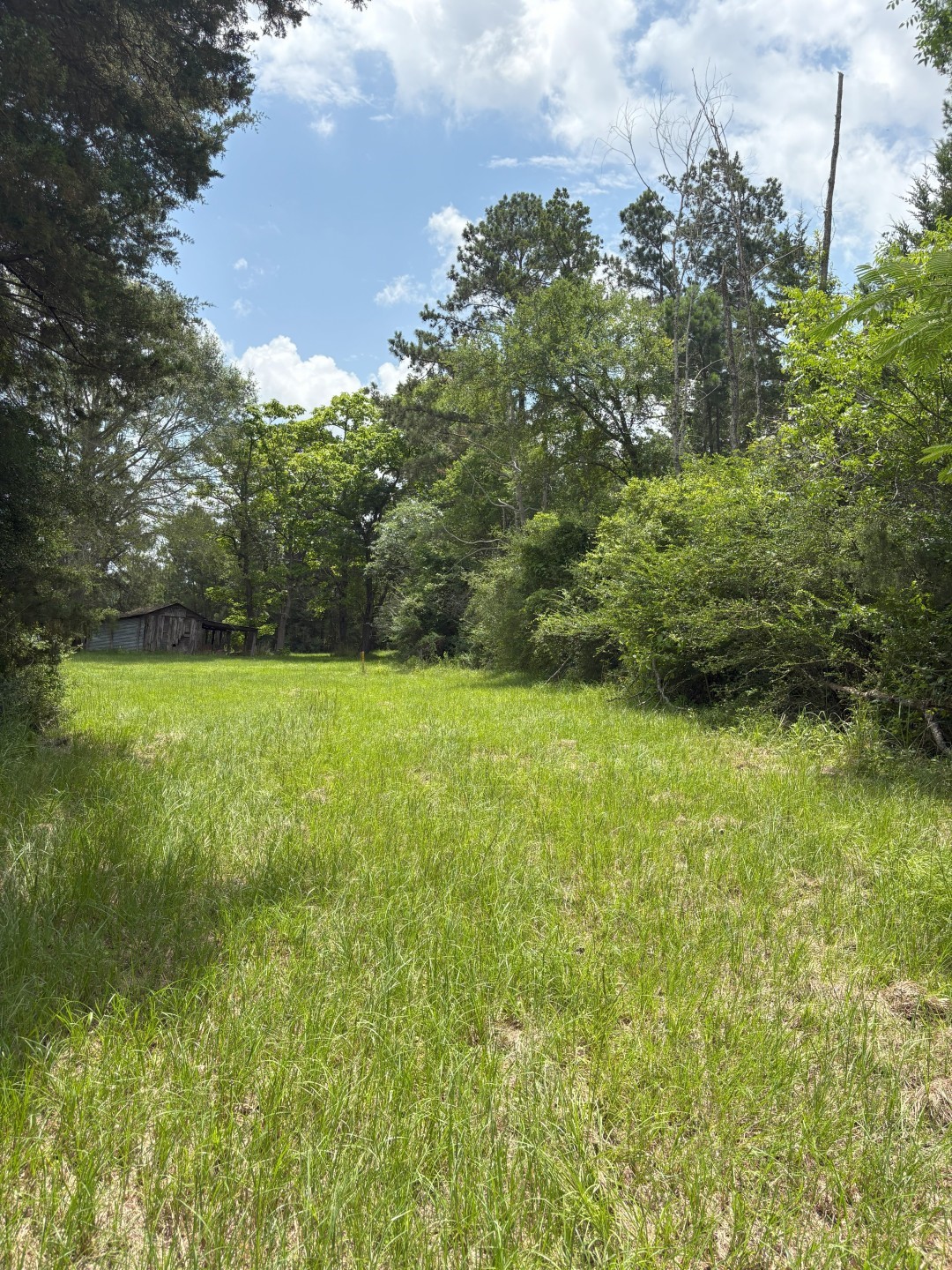 TBD County Road 425, Tenaha, TX, 75974 | 20964830 | Realty Texas LLC