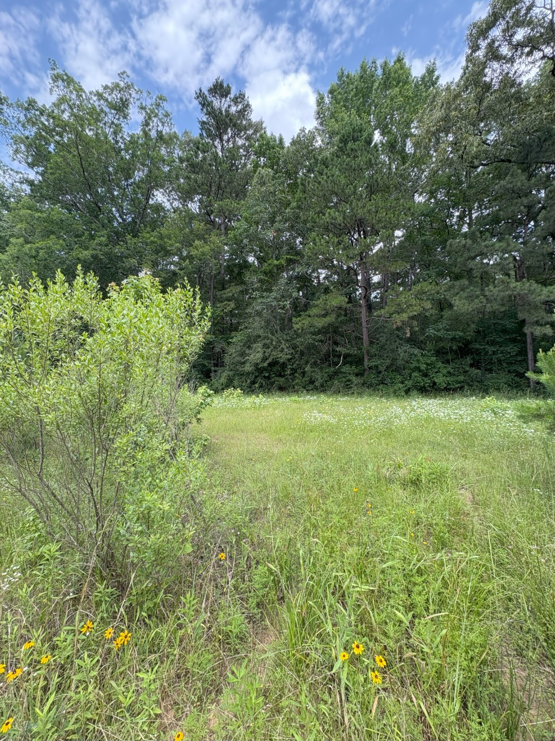 TBD County Road 425, Tenaha, TX, 75974 | 20964830 | Realty Texas LLC