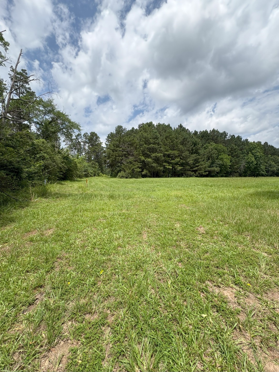 TBD County Road 425, Tenaha, TX, 75974 | 20964830 | Realty Texas LLC