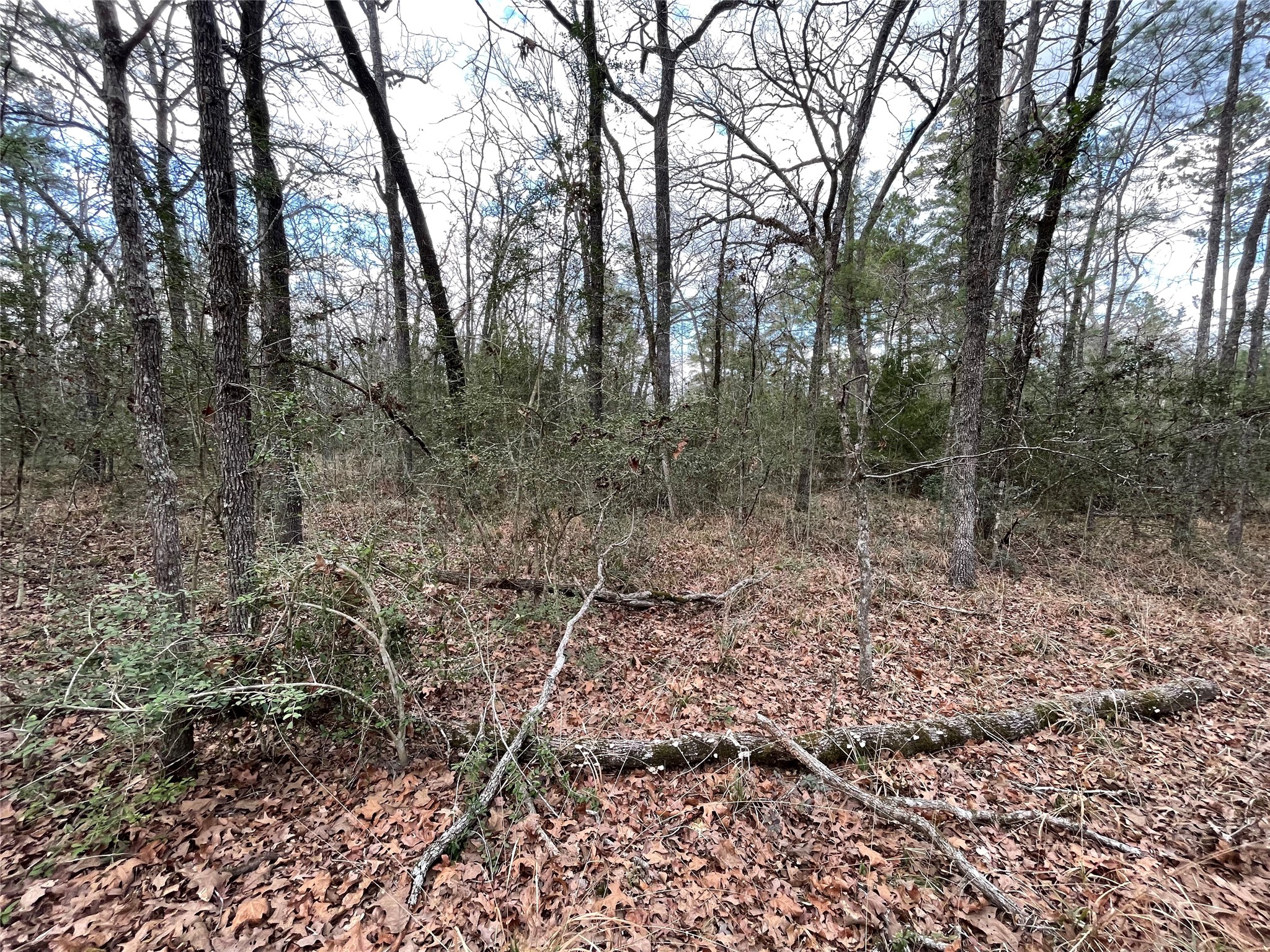 TBD Fir Court, Huntsville, TX, 77320 | 46124226 | Realty Texas LLC