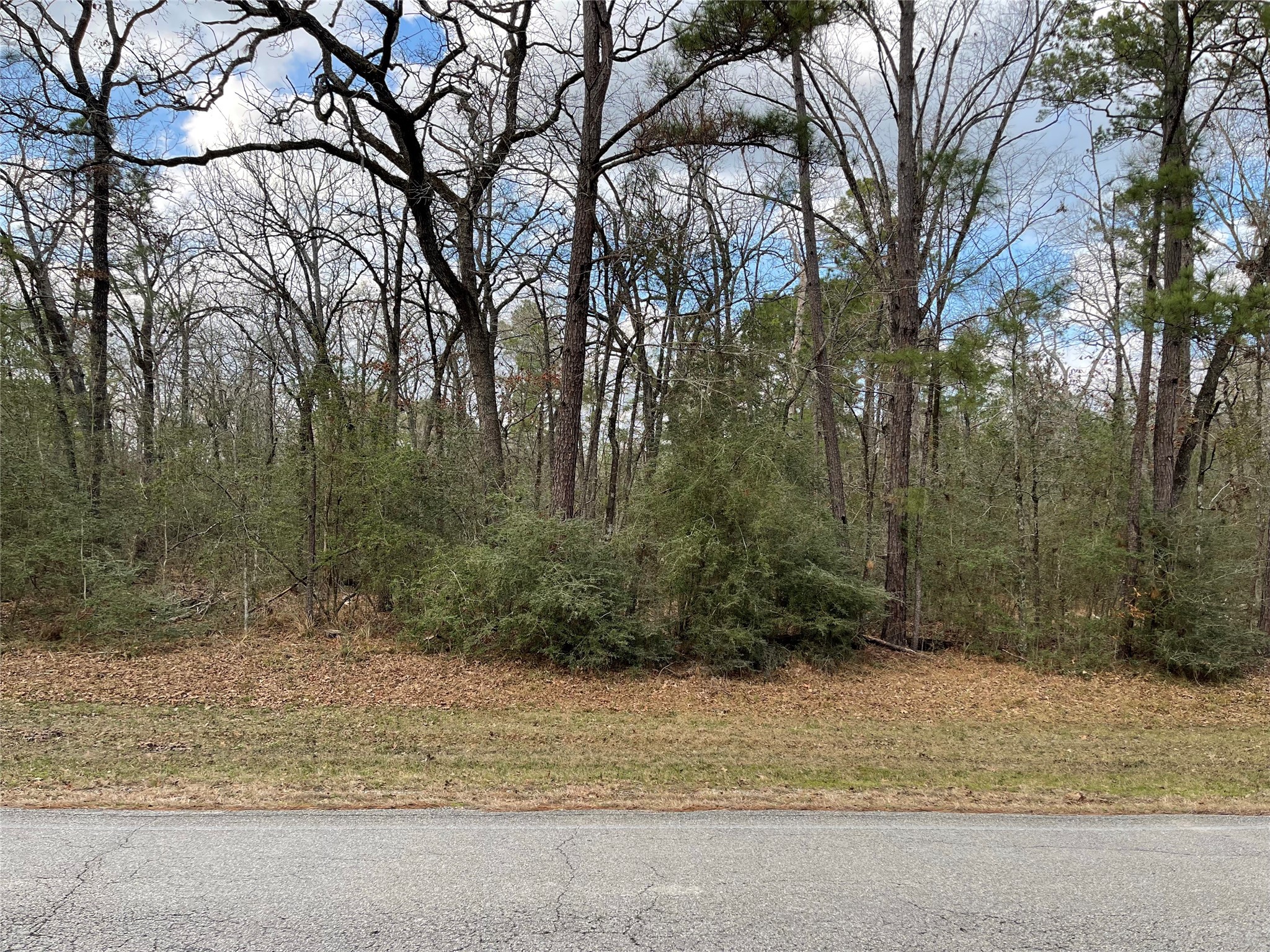 TBD Fir Court, Huntsville, TX, 77320 | 46124226 | Realty Texas LLC