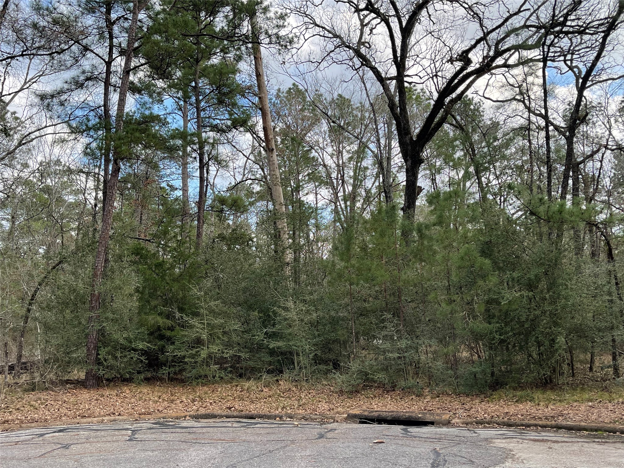 TBD Fir Court, Huntsville, TX, 77320 | 46124226 | Realty Texas LLC