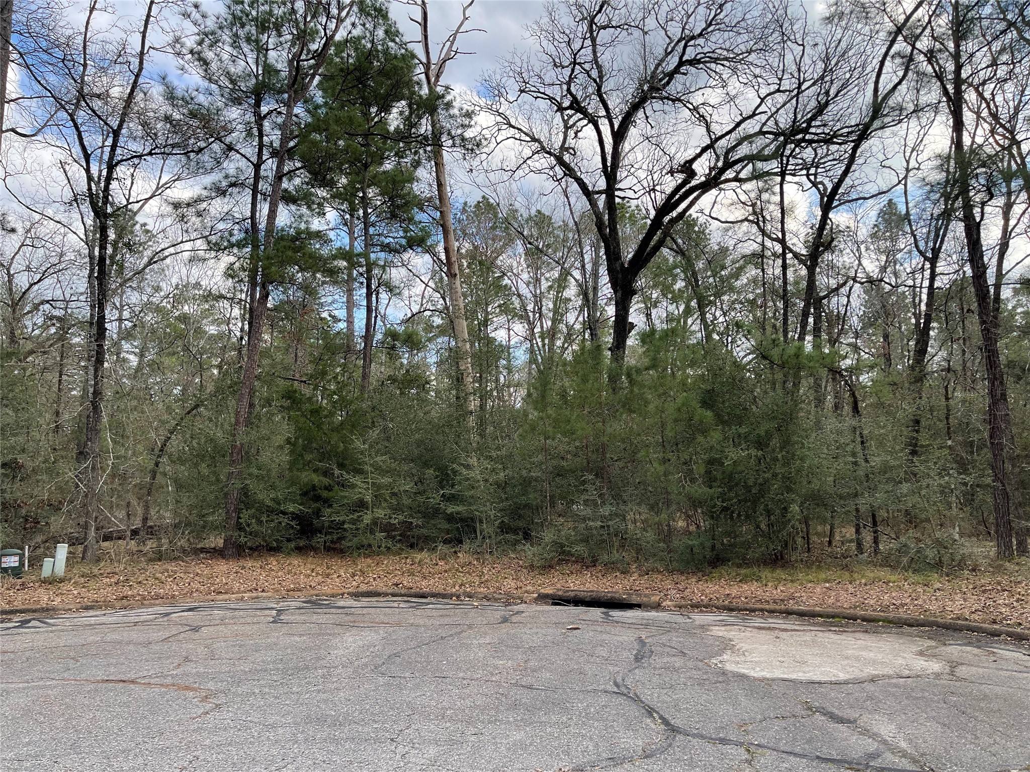 TBD Fir Court, Huntsville, TX, 77320 | 46124226 | Realty Texas LLC