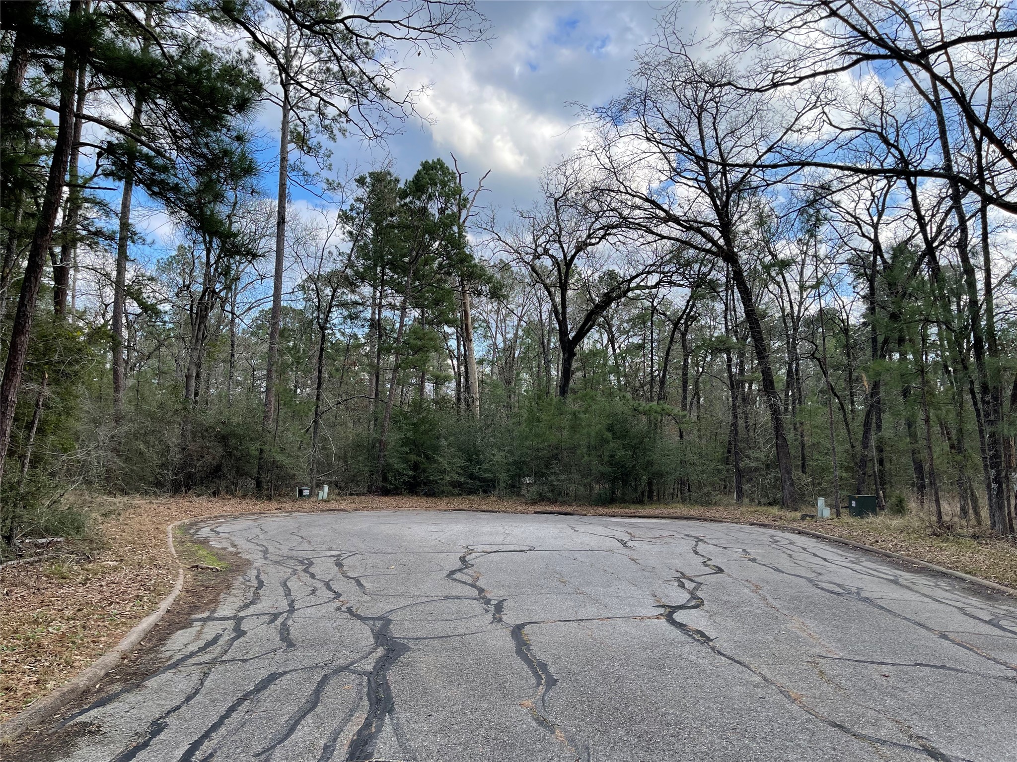 TBD Fir Court, Huntsville, TX, 77320 | 46124226 | Realty Texas LLC