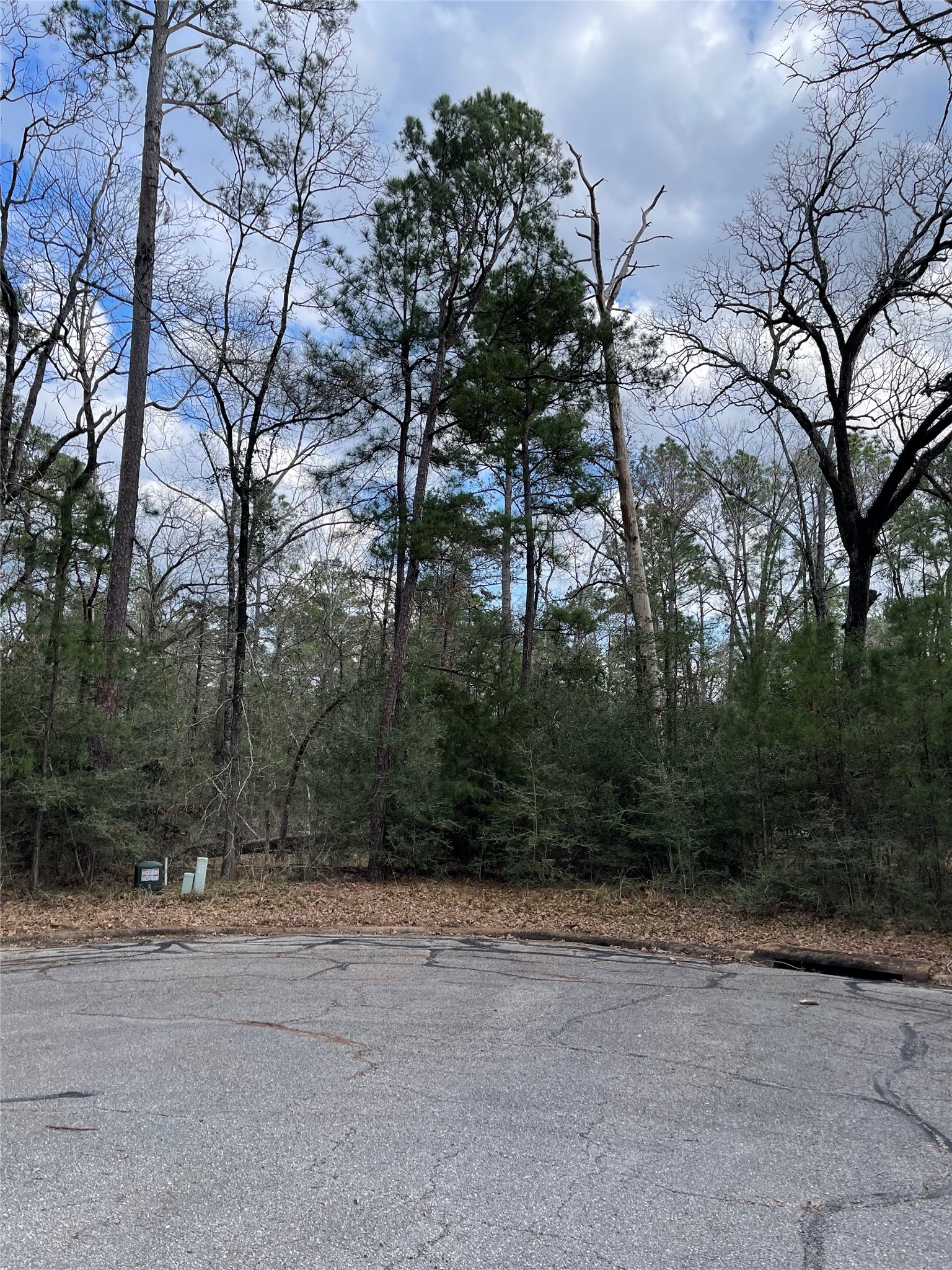 TBD Fir Court, Huntsville, TX, 77320 | 46124226 | Realty Texas LLC