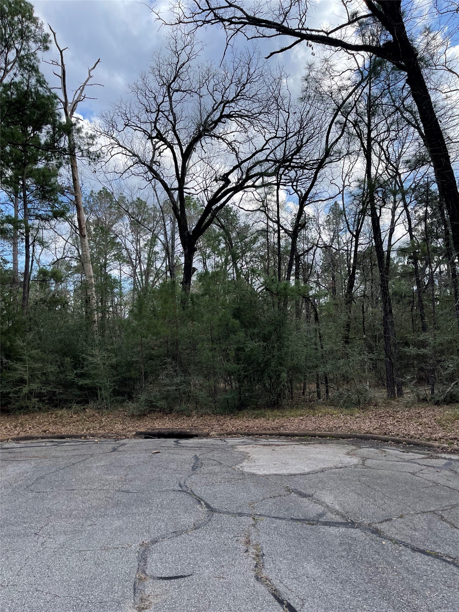 TBD Fir Court, Huntsville, TX, 77320 | 46124226 | Realty Texas LLC