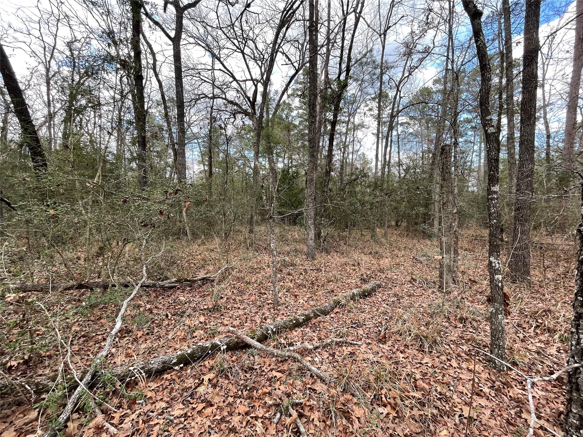 TBD Fir Court, Huntsville, TX, 77320 | 46124226 | Realty Texas LLC