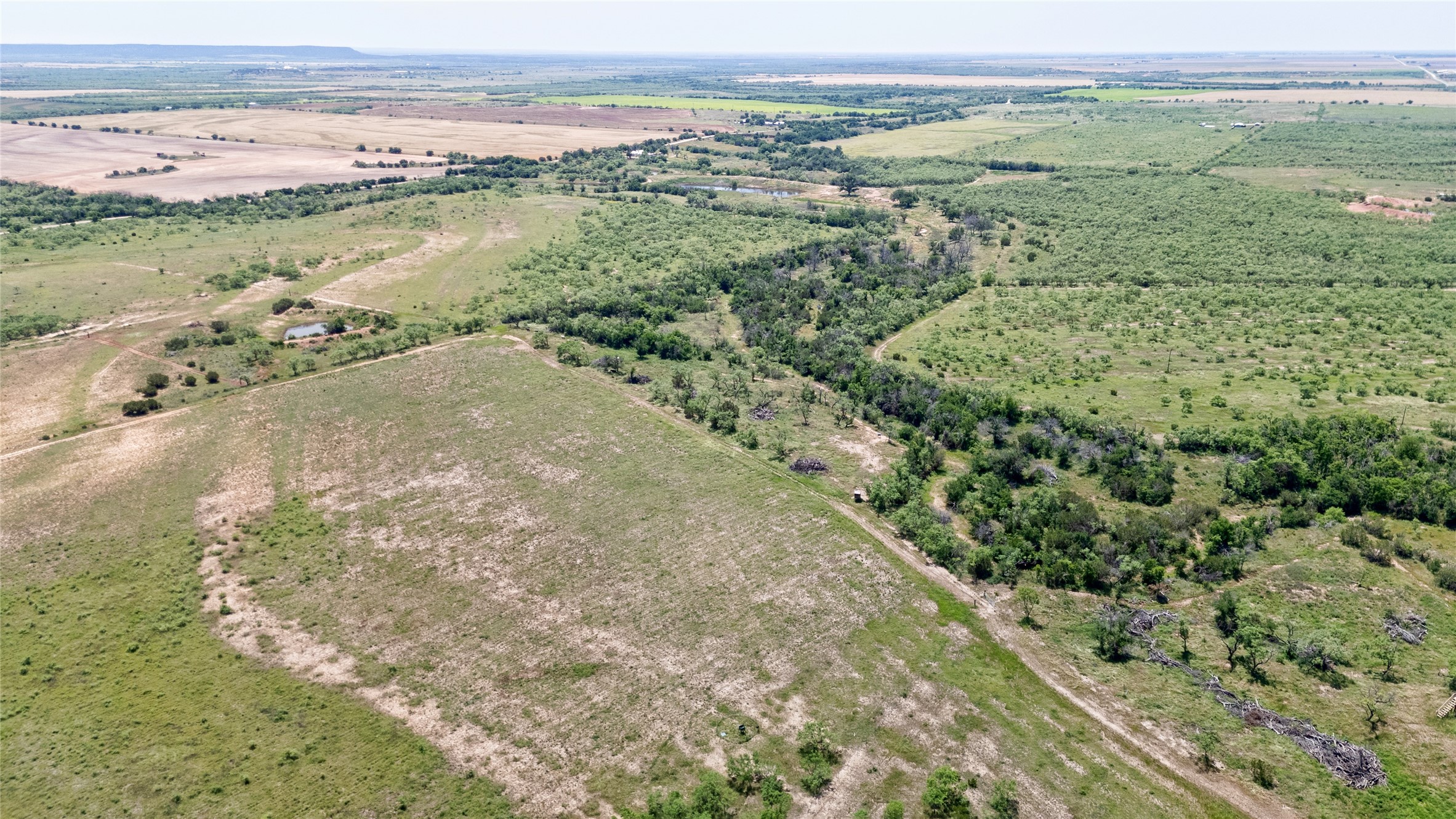 TBD County Rd 196, Ovalo, TX, 79541 | 20965241 | Realty Texas LLC