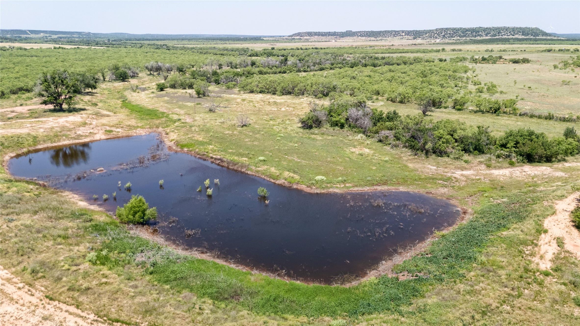 TBD County Rd 196, Ovalo, TX, 79541 | 20965241 | Realty Texas LLC