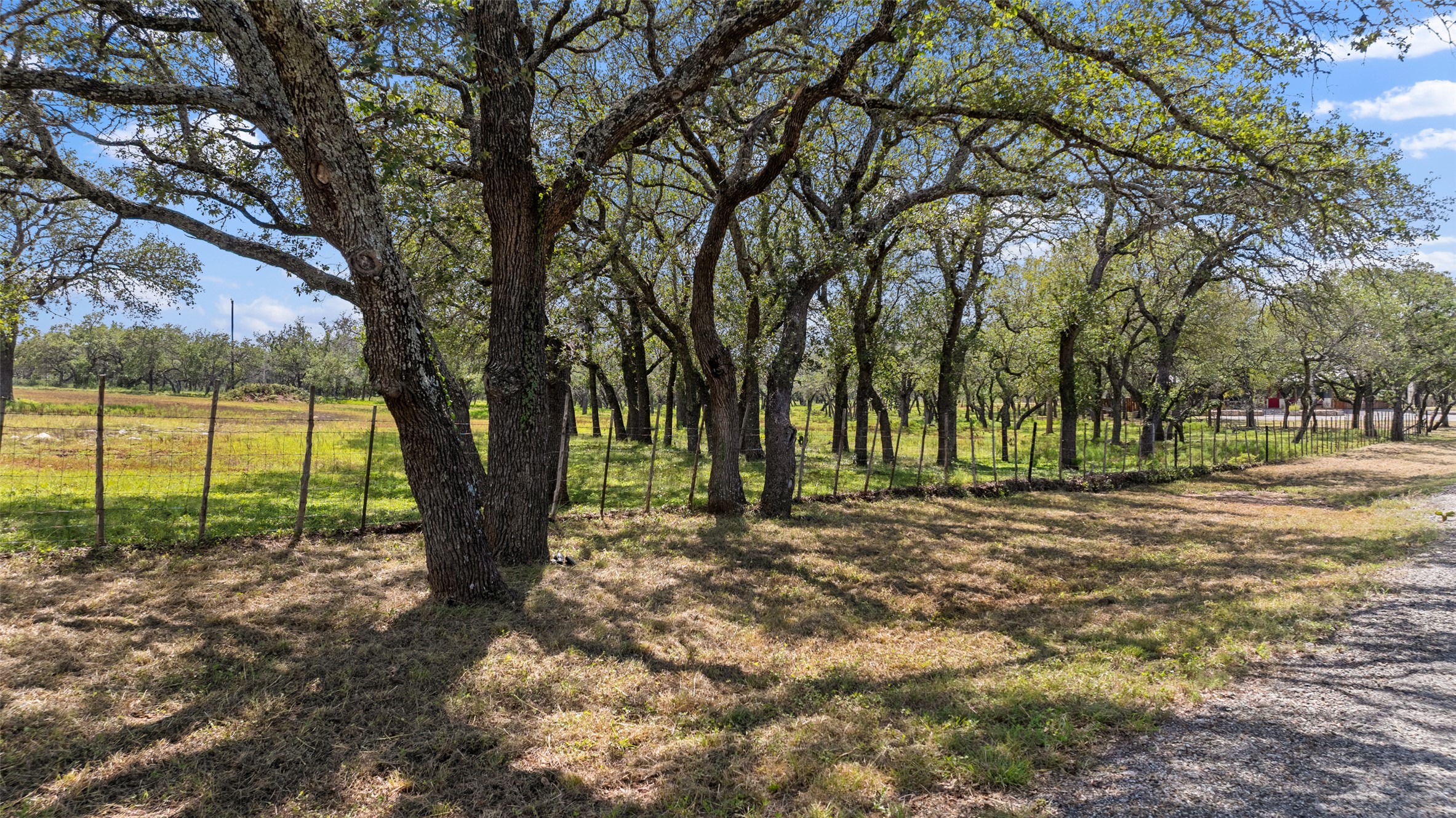 2631 N US Hwy 281, Johnson City, TX, 78636 | 2910988 | Realty Texas LLC