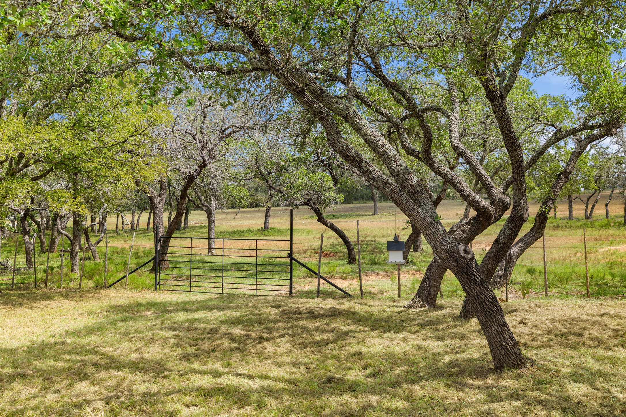 2631 N US Hwy 281, Johnson City, TX, 78636 | 2910988 | Realty Texas LLC