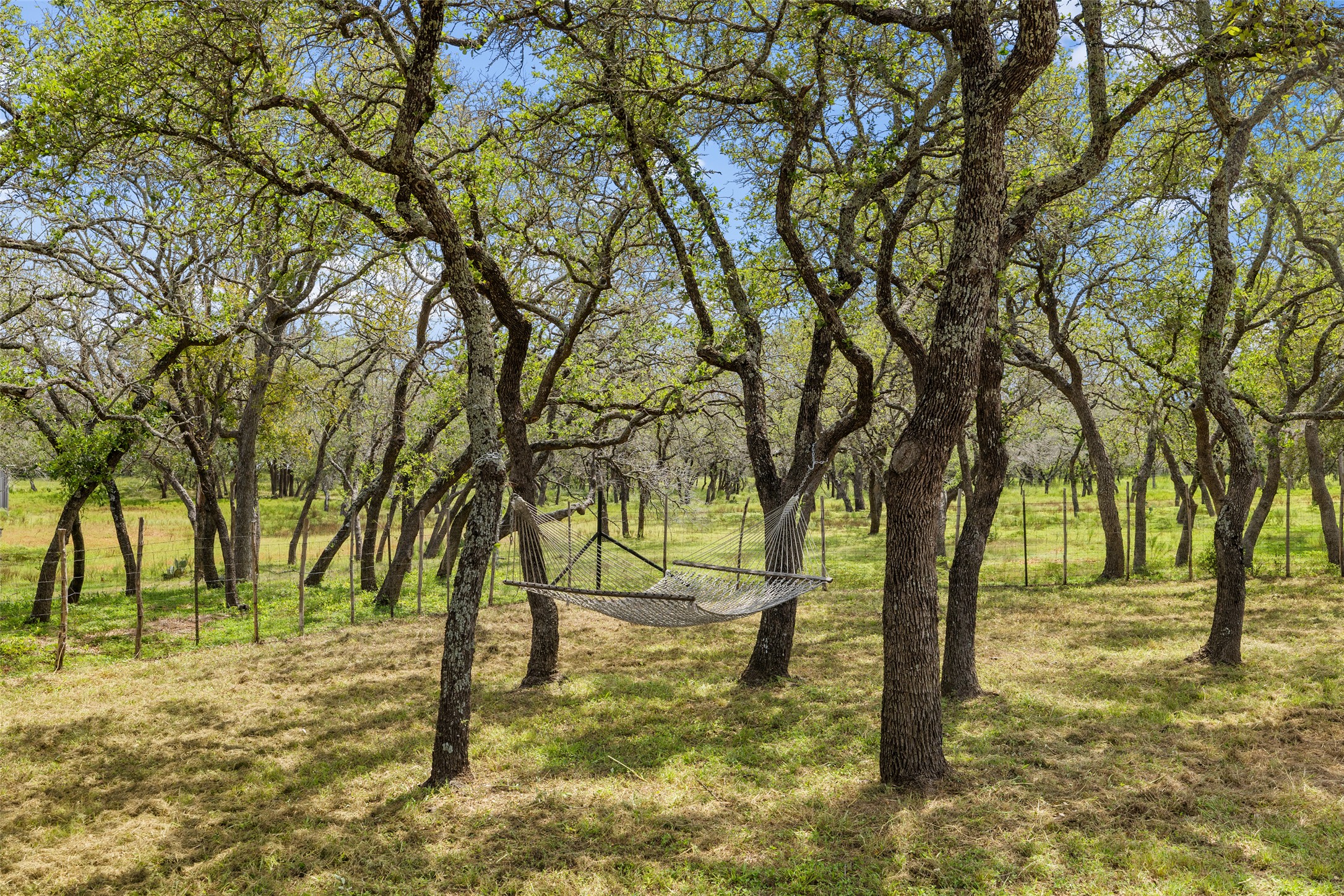 2631 N US Hwy 281, Johnson City, TX, 78636 | 2910988 | Realty Texas LLC
