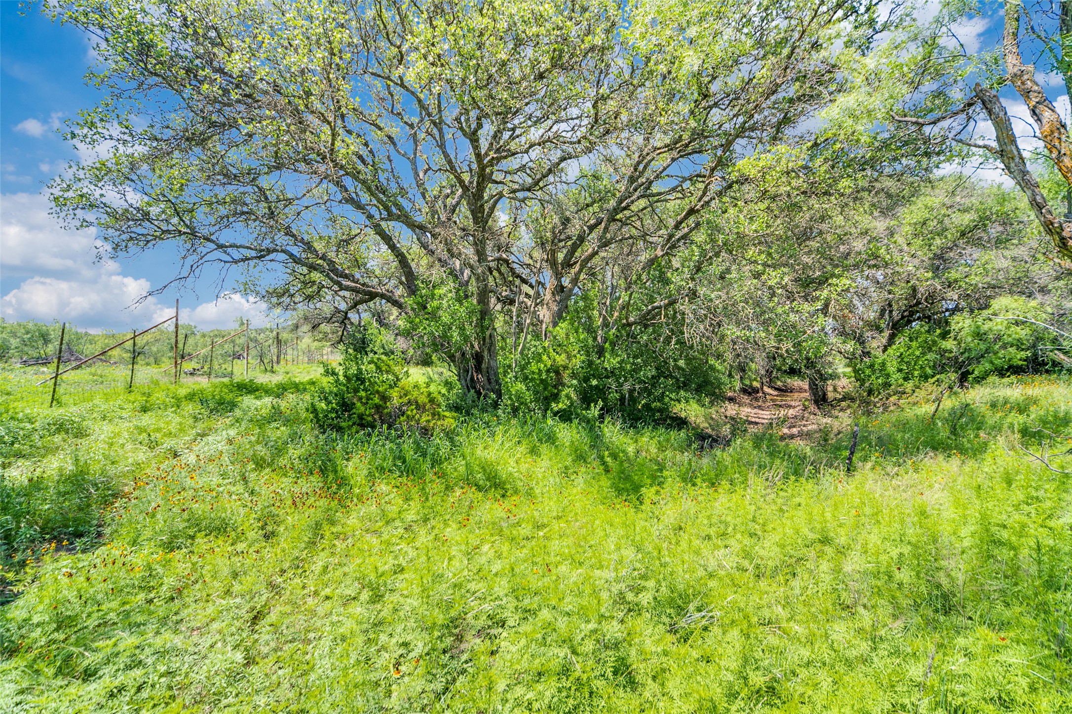 2200 Private Road 3312, Sonora, TX, 76950 | 20966216 | Realty Texas LLC
