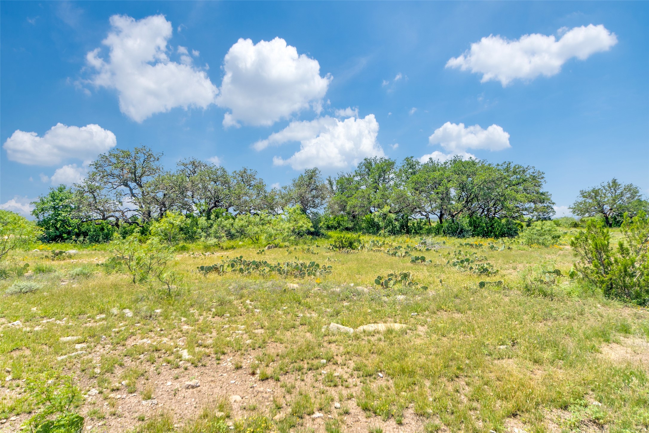 2200 Private Road 3312, Sonora, TX, 76950 | 20966216 | Realty Texas LLC