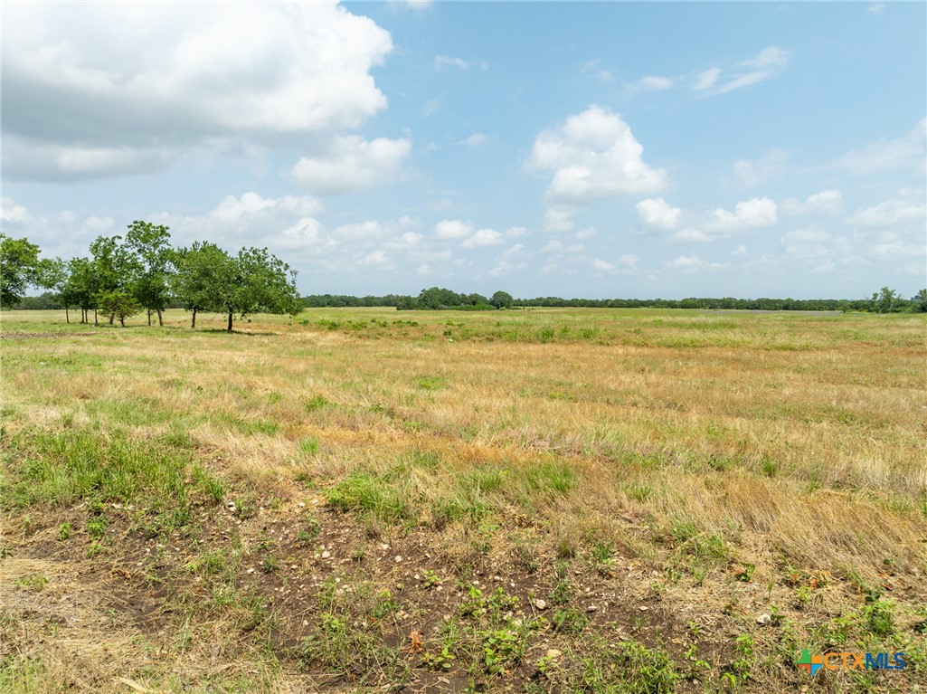 Lot 4 County Road 426, Evant, TX, 76525 | 582843 | Realty Texas LLC
