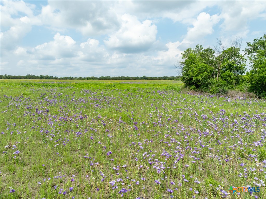 Lot 4 County Road 426, Evant, TX, 76525 | 582843 | Realty Texas LLC
