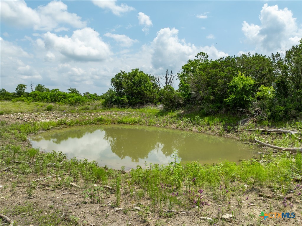 Lot 4 County Road 426, Evant, TX, 76525 | 582843 | Realty Texas LLC