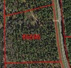 TBD 0  FM 230, Trinity, TX, 75862 | 82958257 | Realty Texas LLC