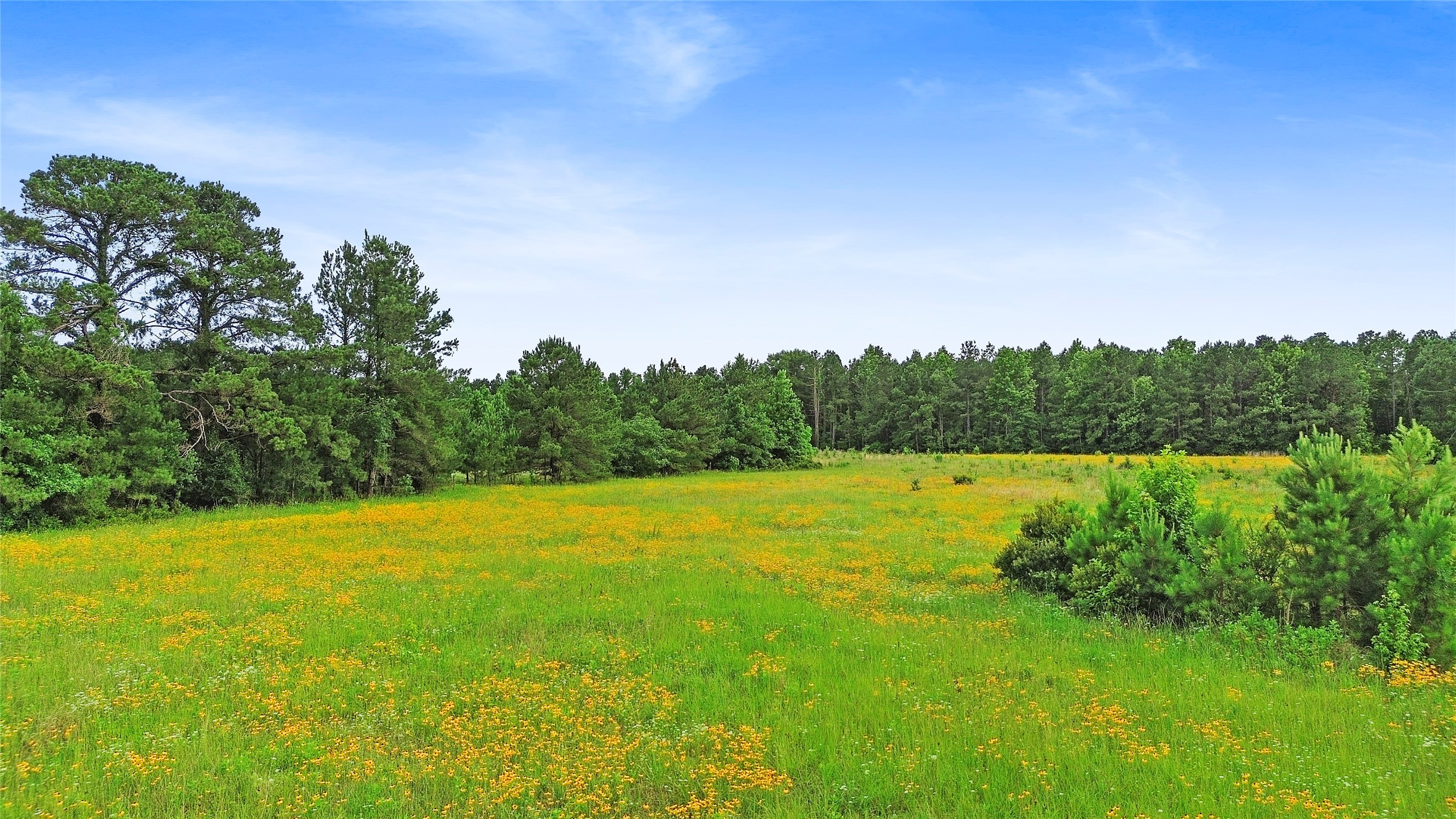 877 Josserand Road, Woodlake, TX, 75865 | 30489539 | Realty Texas LLC