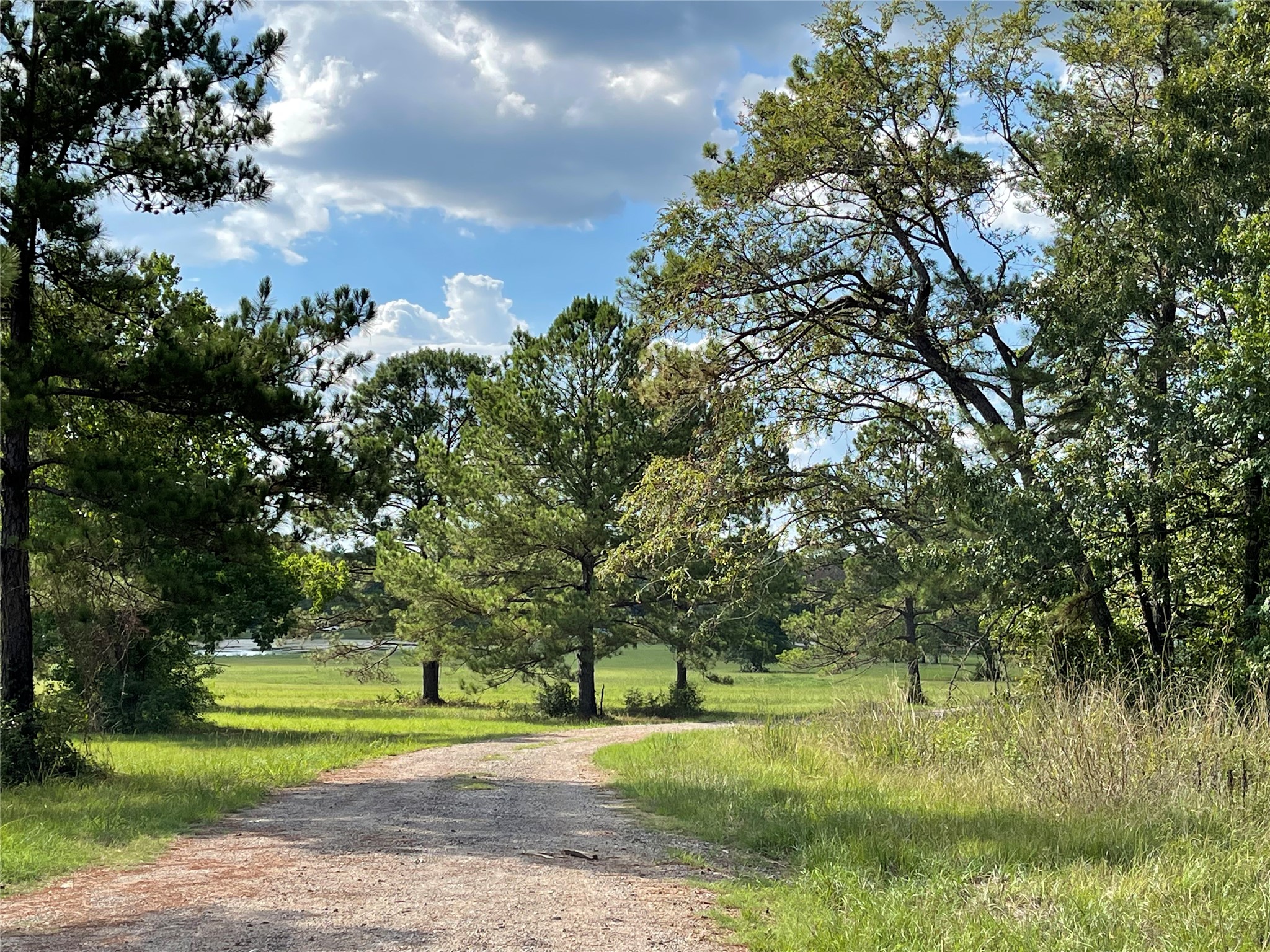 15738 Wooded Trail Way, Willis, TX, 77378 | 40004204 | Realty Texas LLC